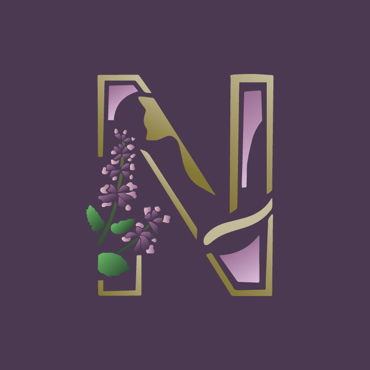 Nepeta