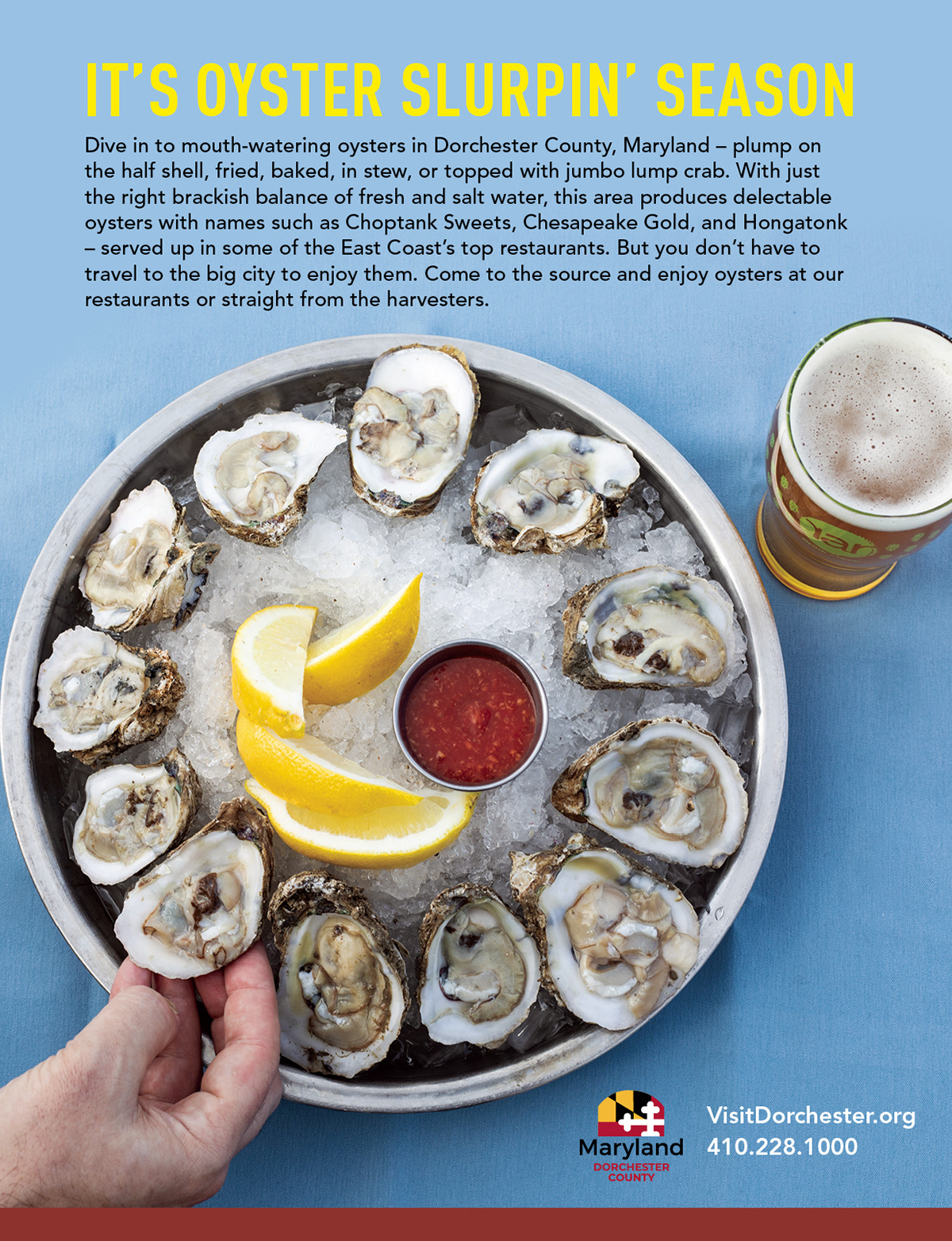 Print Ad - Full Page