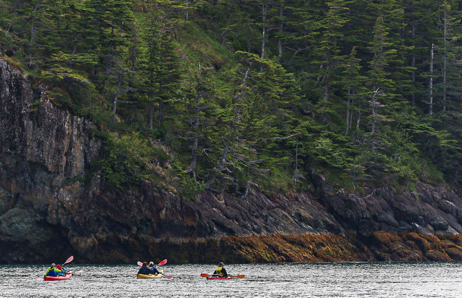 Kayak, Cook Inlet AK, 2024 - Digital Image
