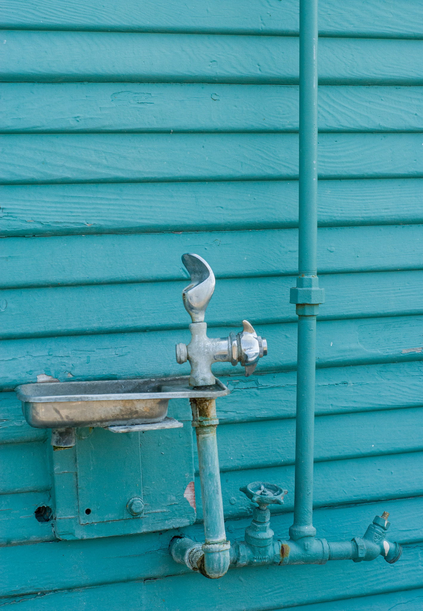 Thirst, Capitola CA - Digital Image