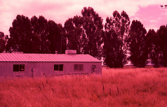Shop - Skaggs Island, Nikon FM2, 35mm Film Scan