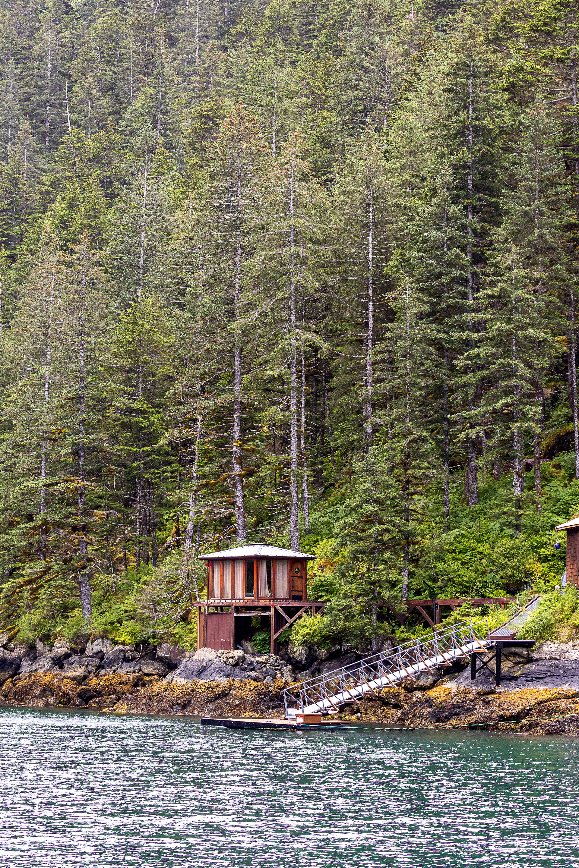 Cook Inlet AK, 2024 - Digital Image