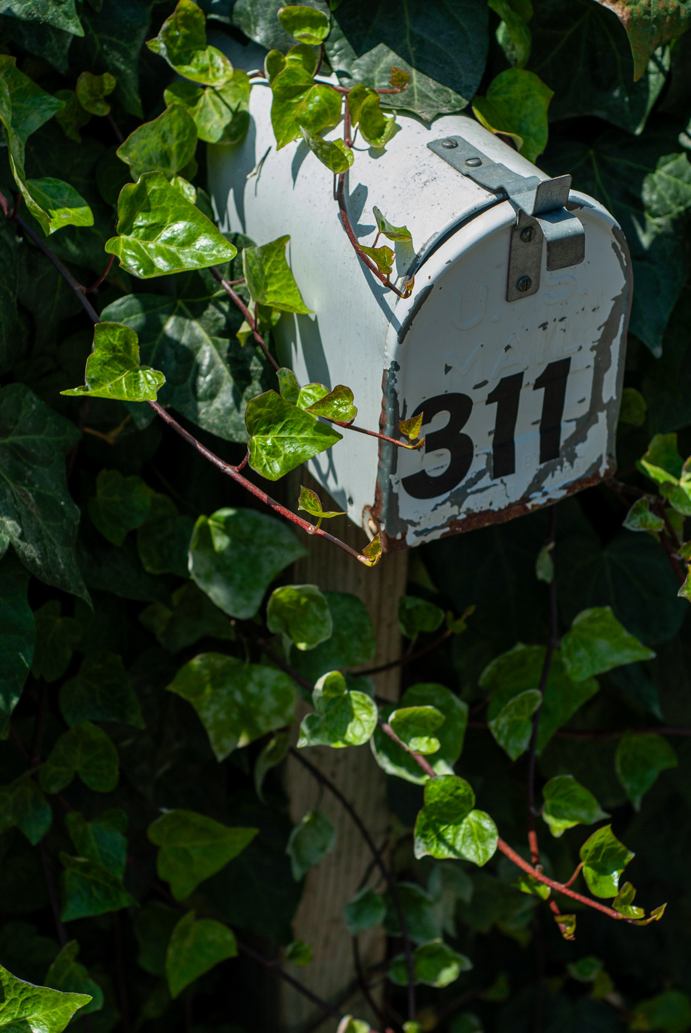 311, Capitola CA - Digital Image