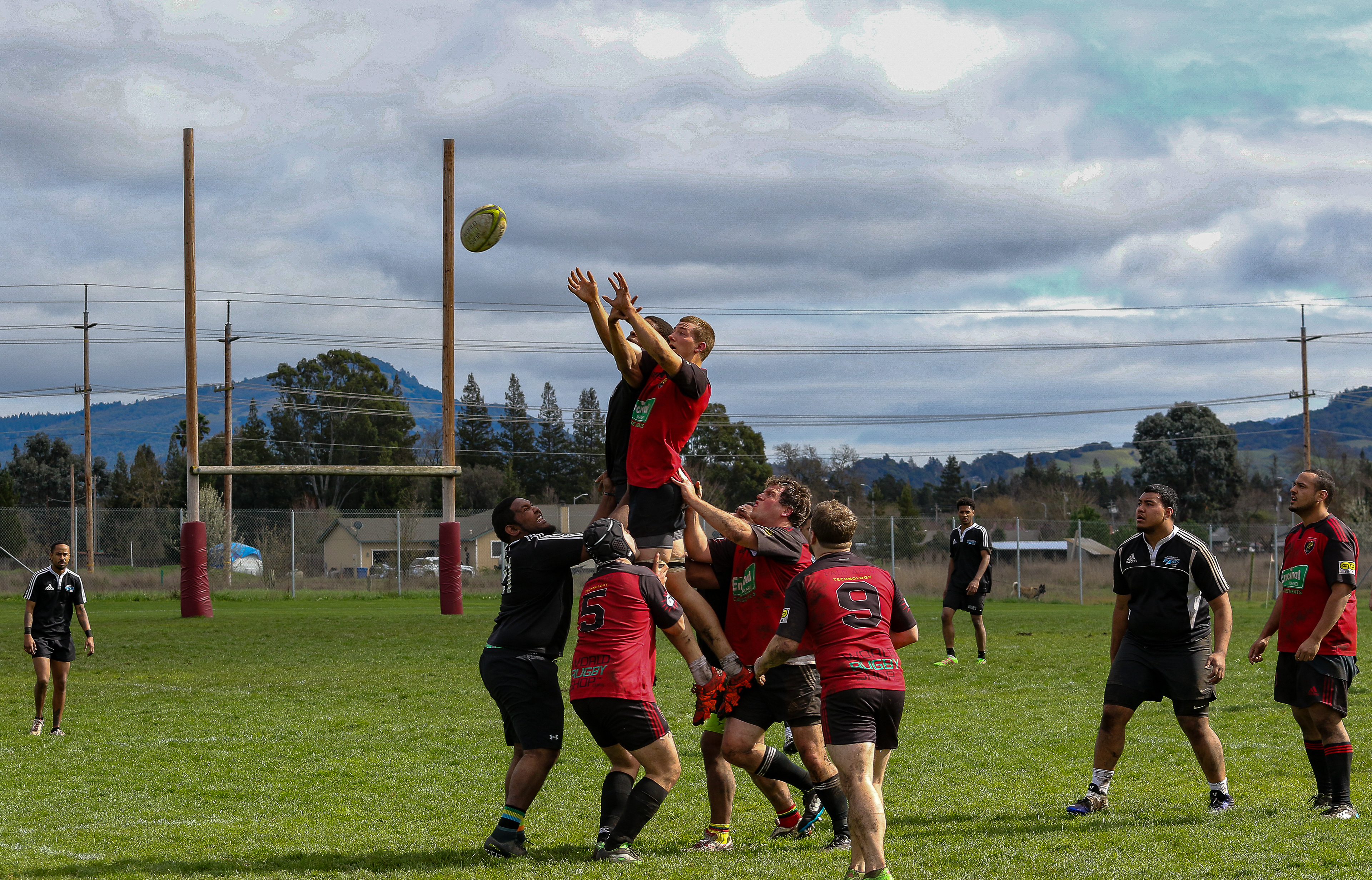 Line Out, 2017 - Digital Image