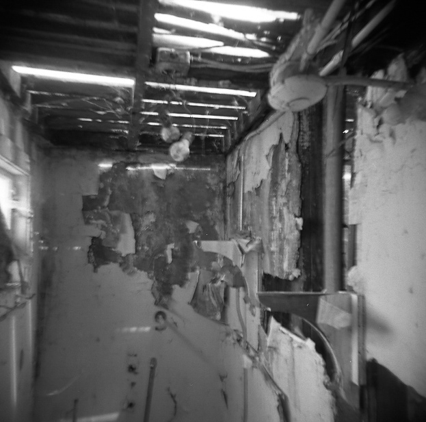 Shower - Skaggs Island, Holga, 120 Film Scan