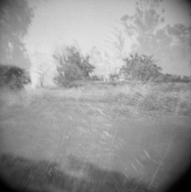 Double - Skaggs Island, Holga, 120 Film Scan