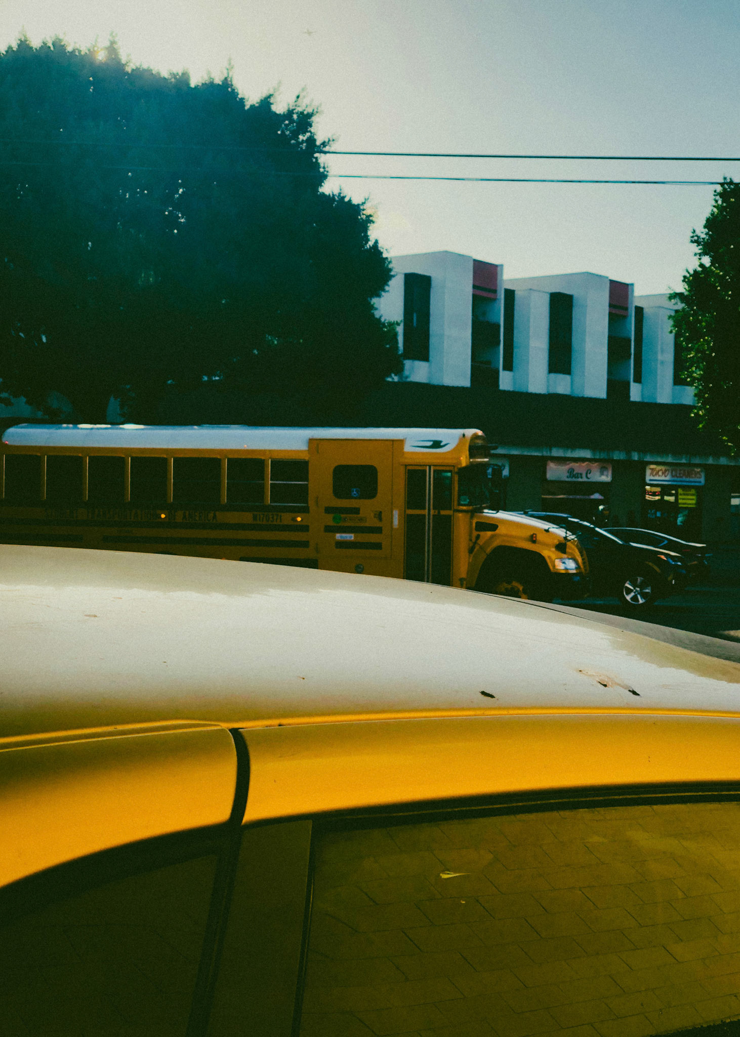 Buses