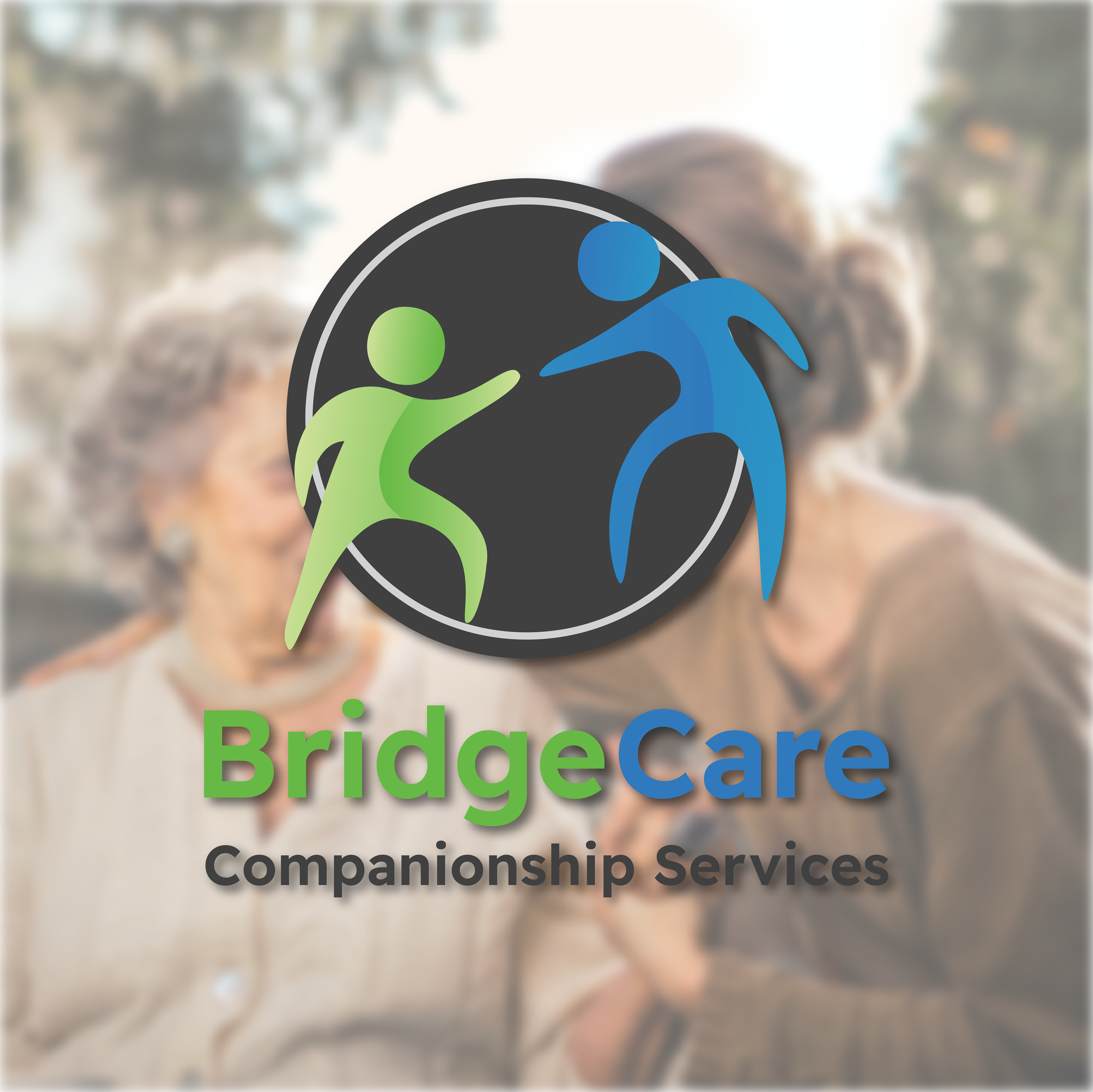 BridgeCare