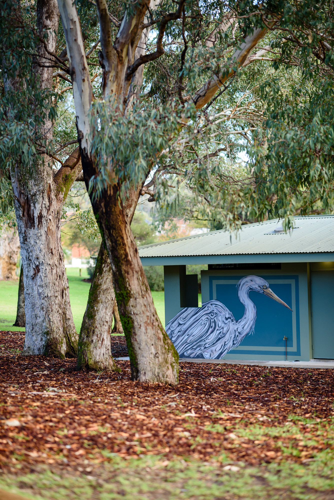 James Giddy Mural - Jackadder Reserve