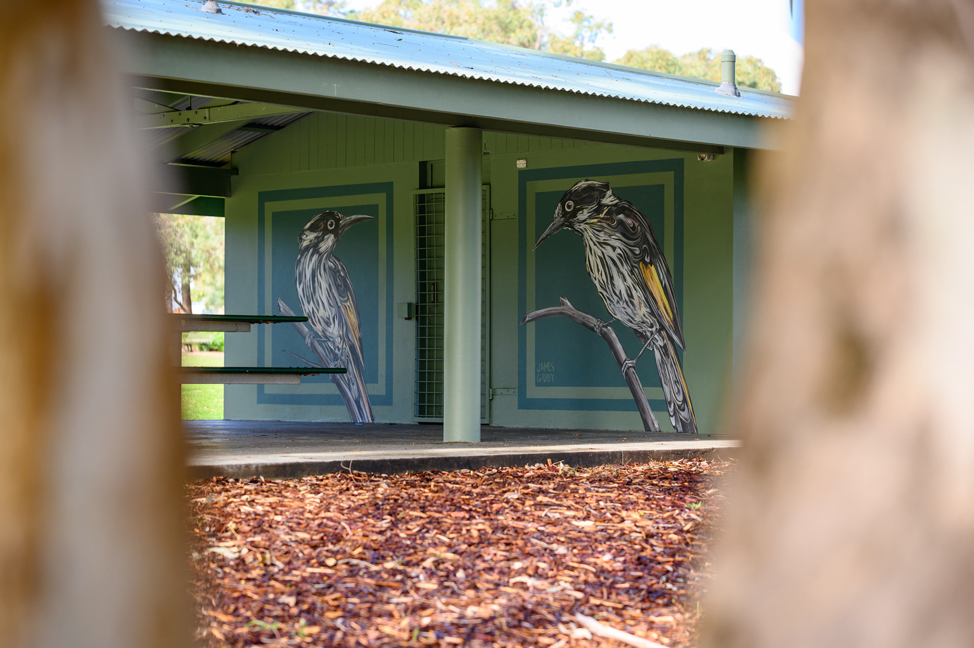 James Giddy Mural - Jackadder Reserve