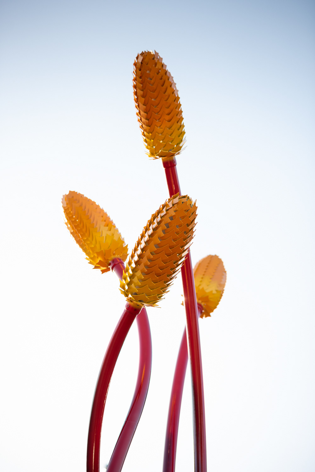 Sohan Hayes - Riseley Centre