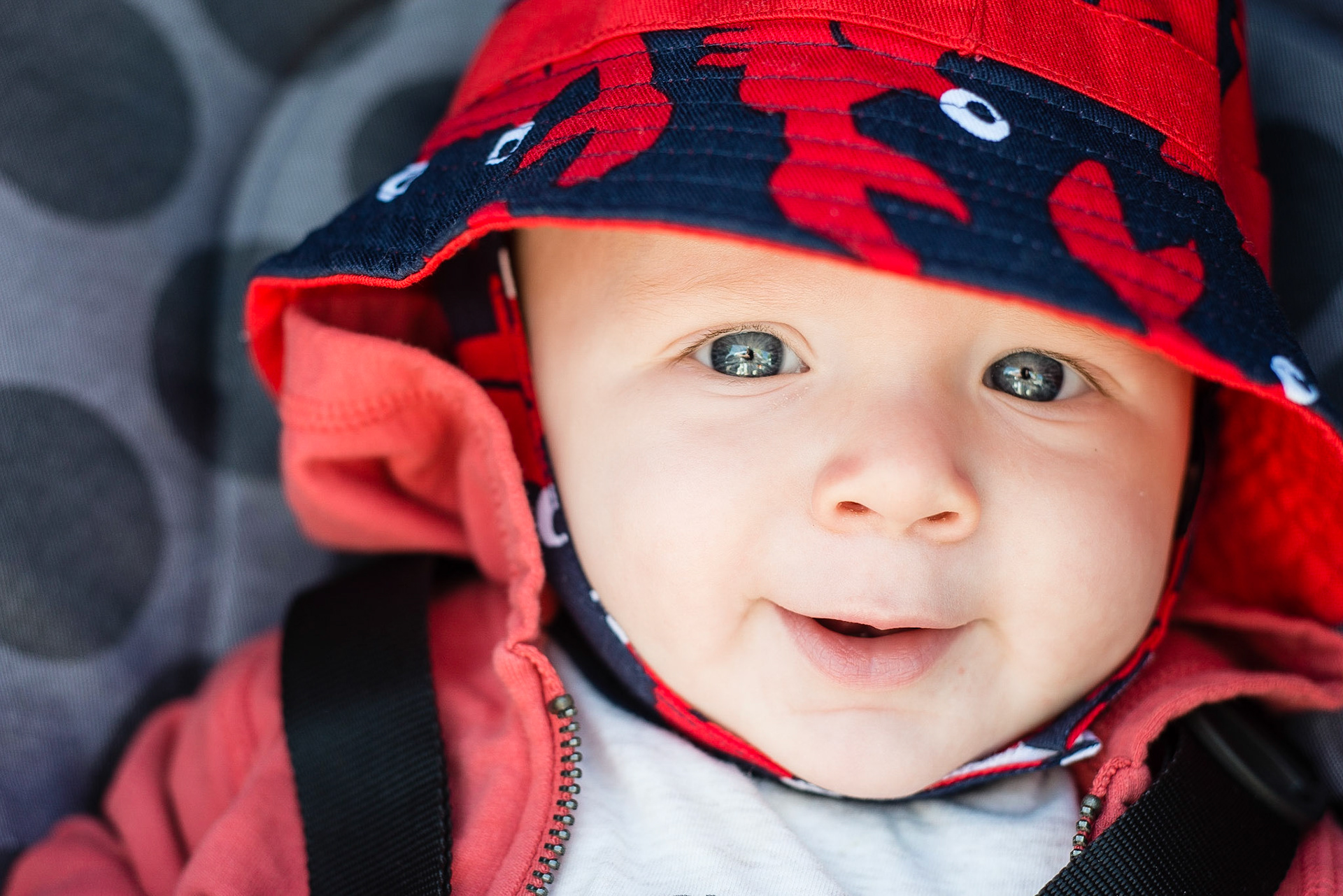 Charlie ready for fun at the Oregon Zoo.