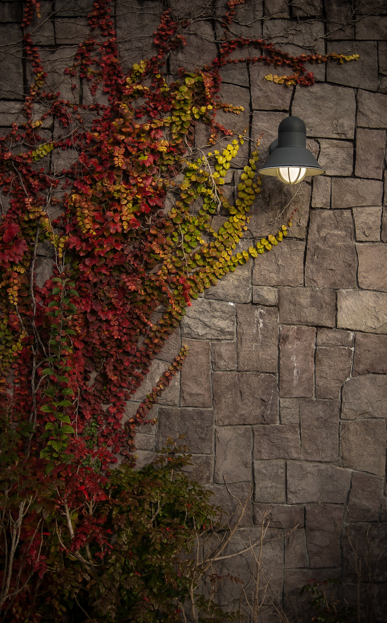 A lone lamp outside the Oregon Zoo on a crisp autumn day.