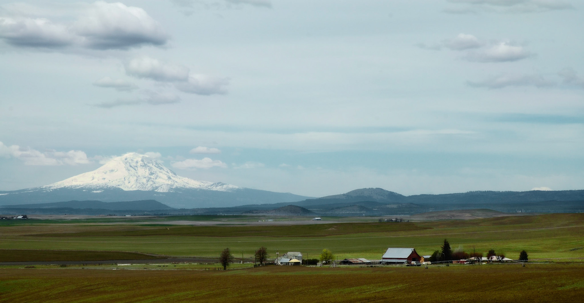 A farm near Goldendale, Washington. Mt. Adams is in the background.