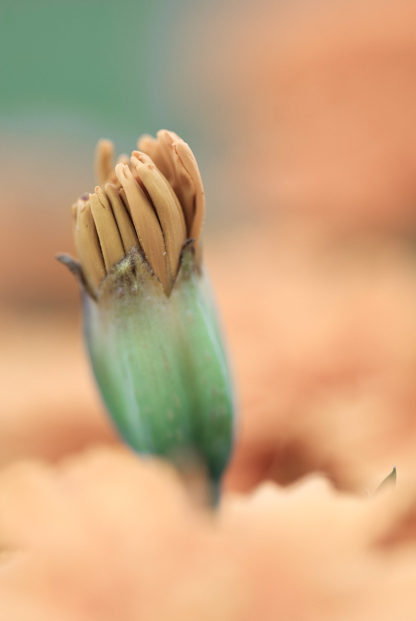 I desaturated this one a little bit.