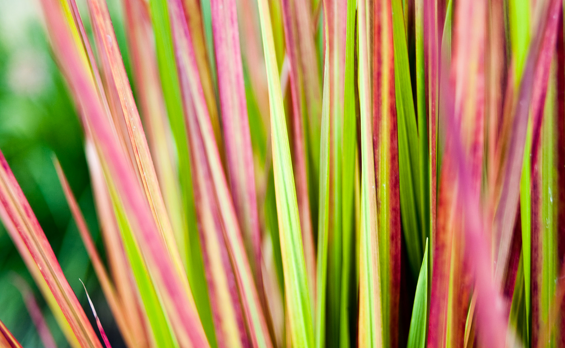 If I were a mouse, I'd want to be stuck in this maze. ... I mean, if I had to be stuck in a maze at all. Obviously, if there was an option to not be stuck in a maze, I'd take that.