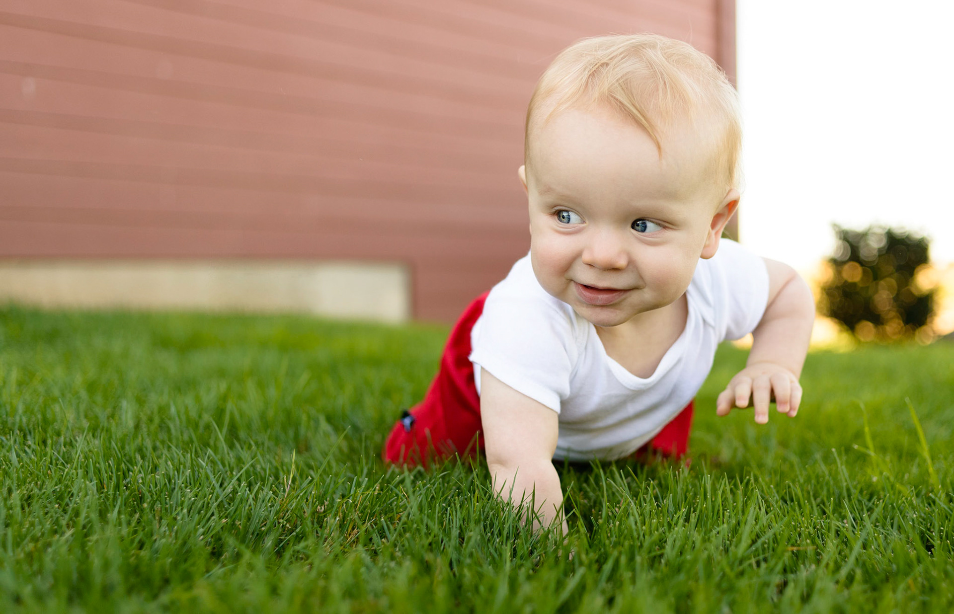 Charlie looking for trouble in the backyard.