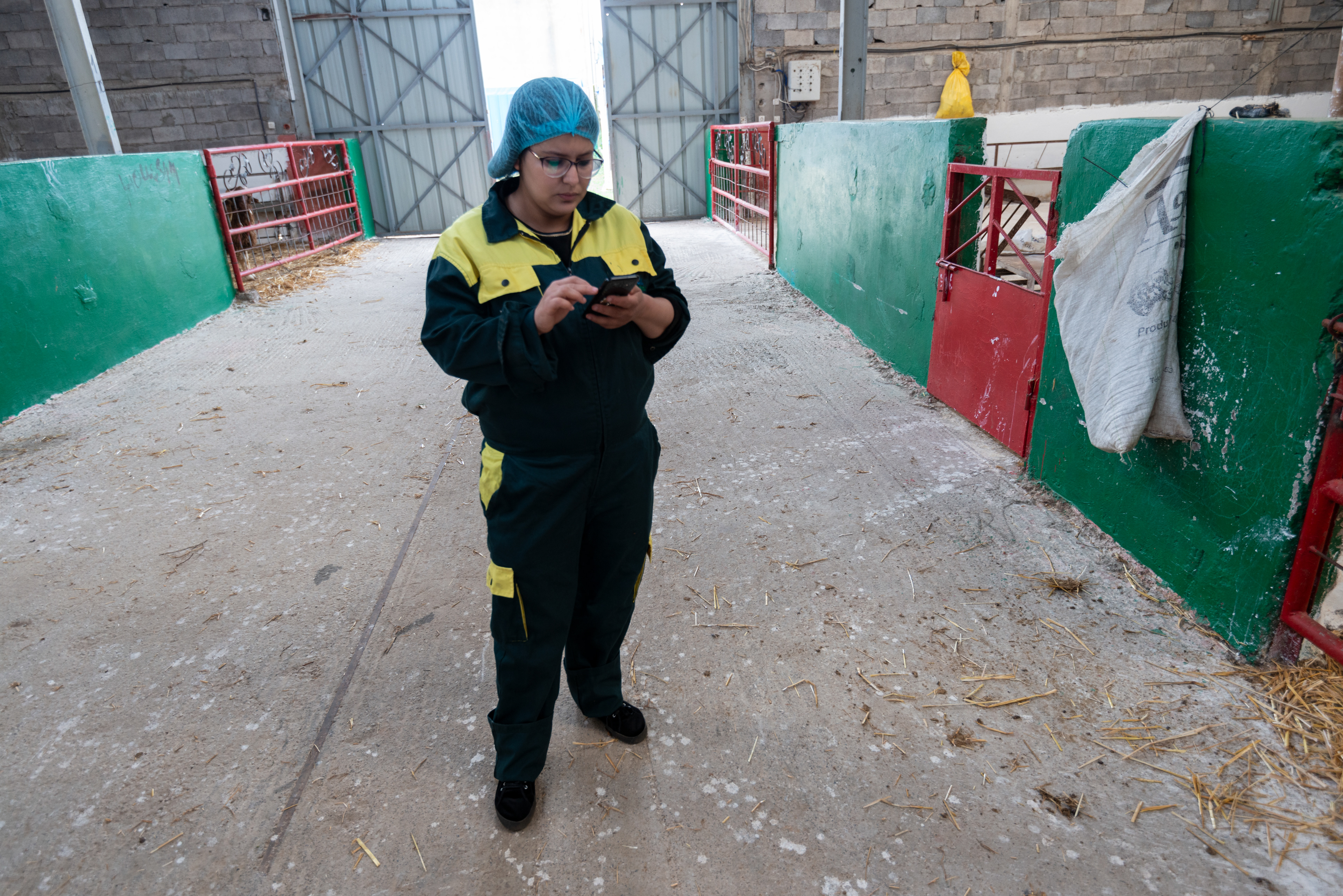 A research technician at a farm managed by MCI Santé Animale for testing animal vaccines.