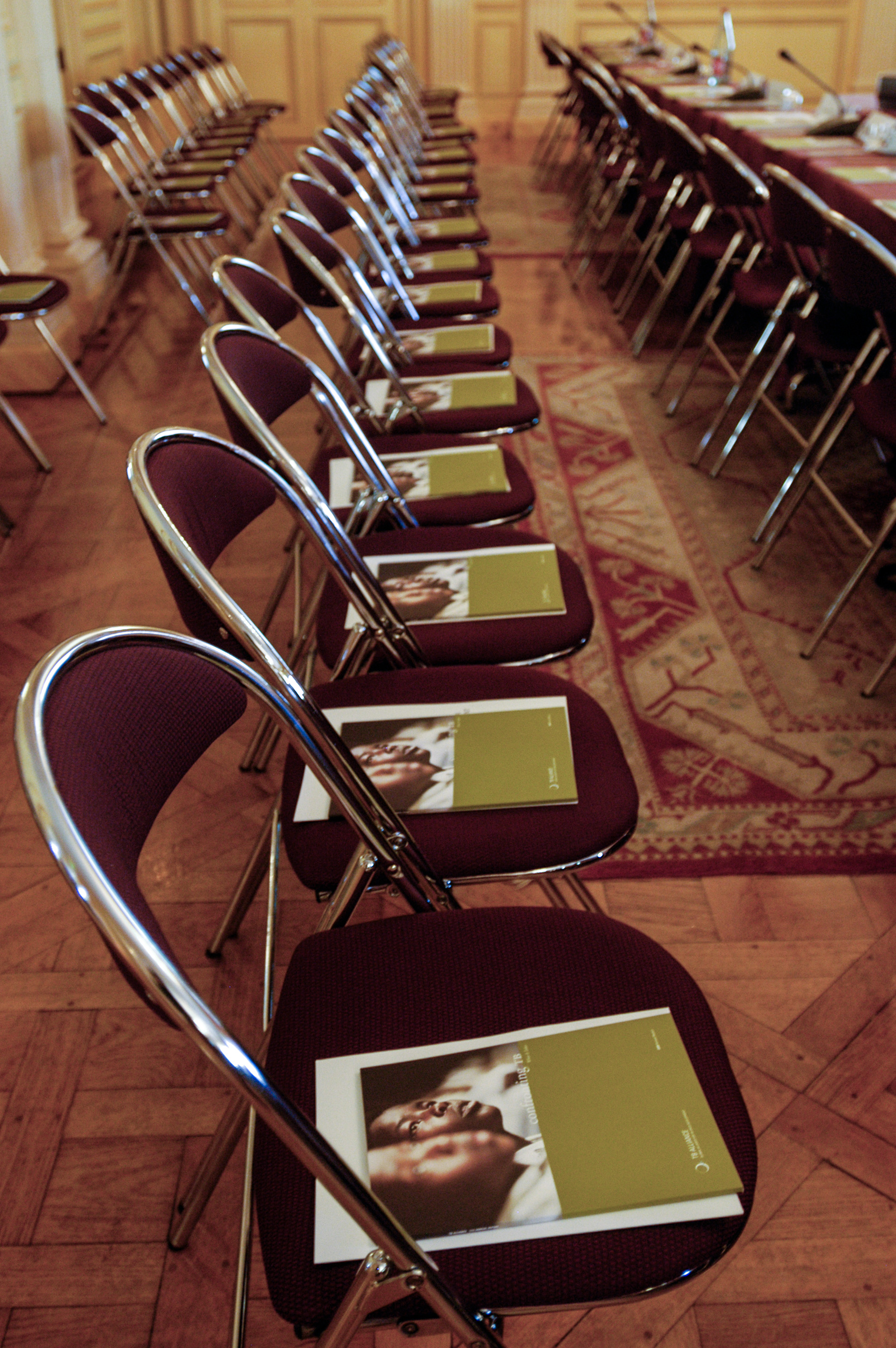 The TB Alliance stakeholders association annual meeting at the Maison de l'Amerique Latine. Paris, France.