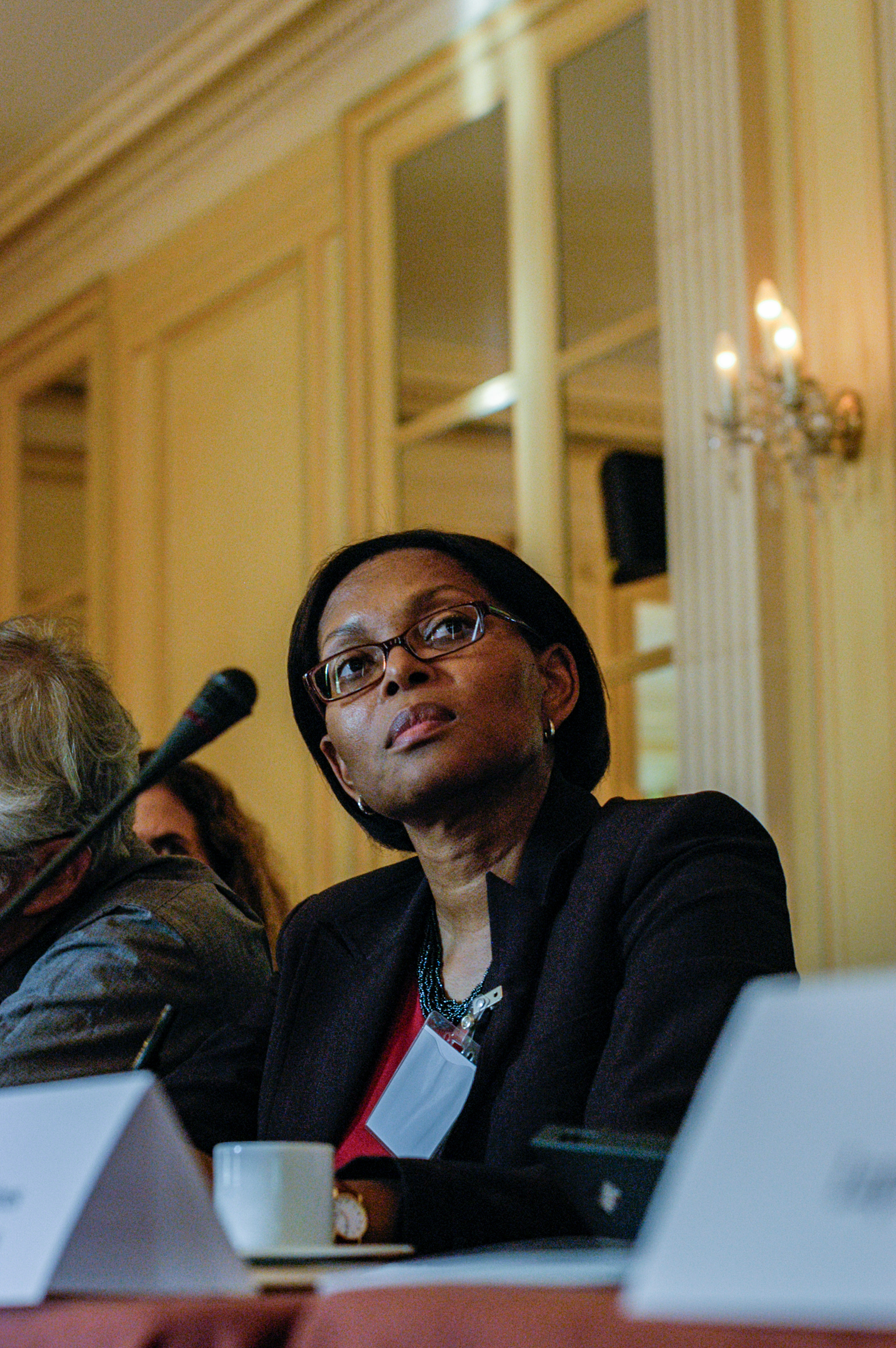 The TB Alliance stakeholders association annual meeting at the Maison de l'Amerique Latine. Paris, France.