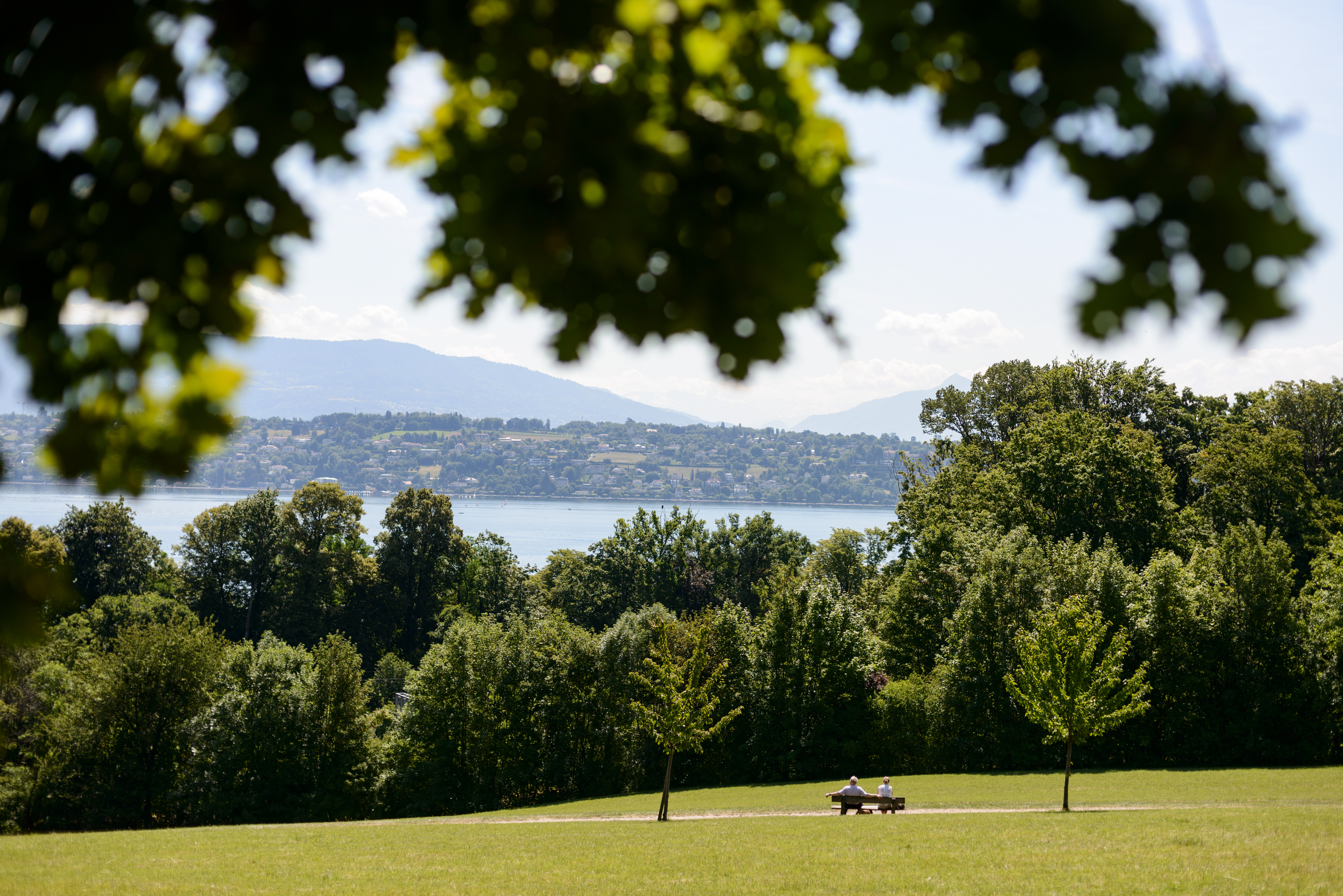 Le parc au Domaine de Penthes avec vue sur le lac Léman. Pregny-Chambesy, Genève, Suisse.