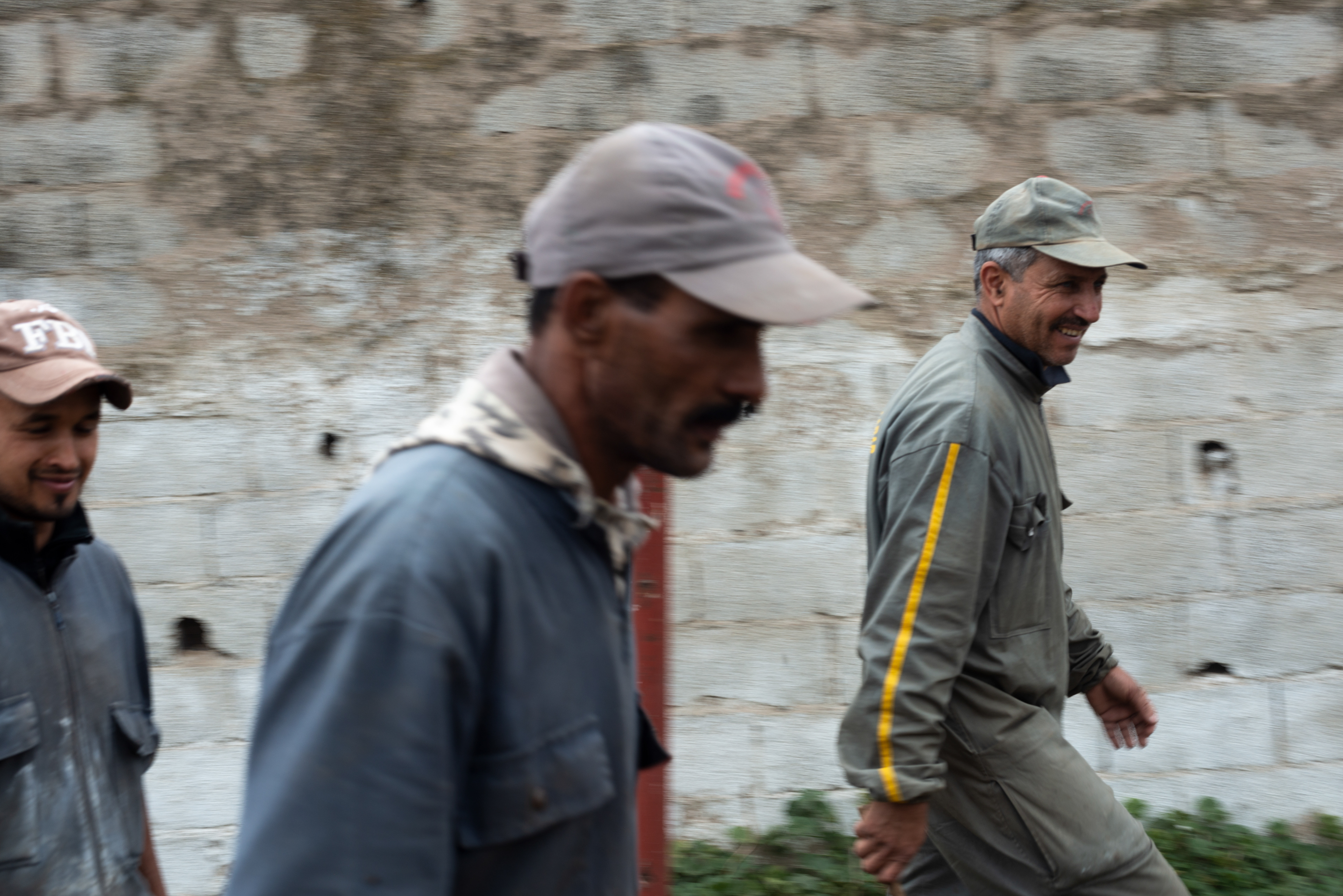 Farm workers prepare for researches to take blood samples from cattle at a farm mangaged by MCI Santé Animale.