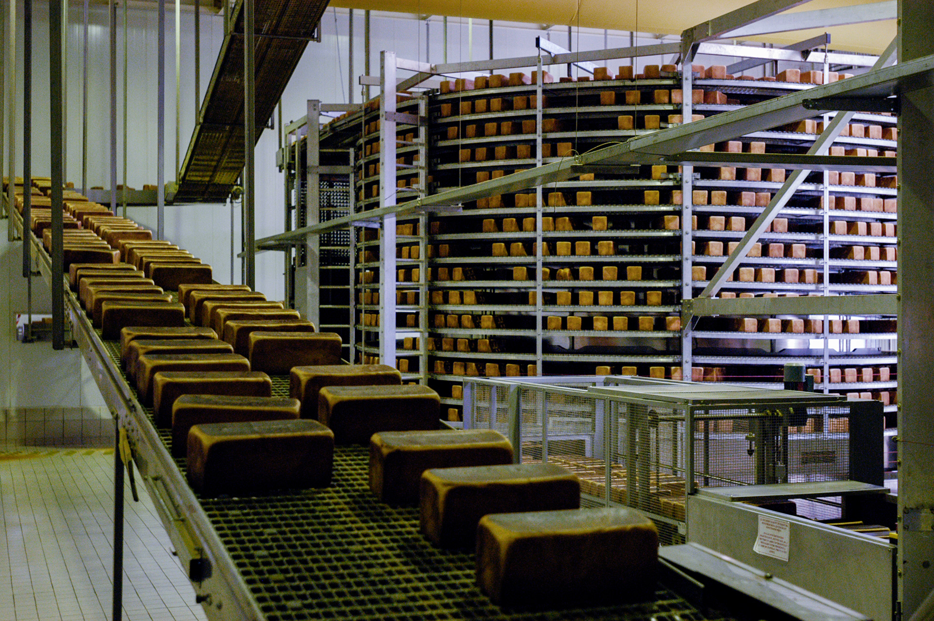 Loafs of American style sandwich bread on the production conveyers at the orginal Harry's factory in Châteauroux.