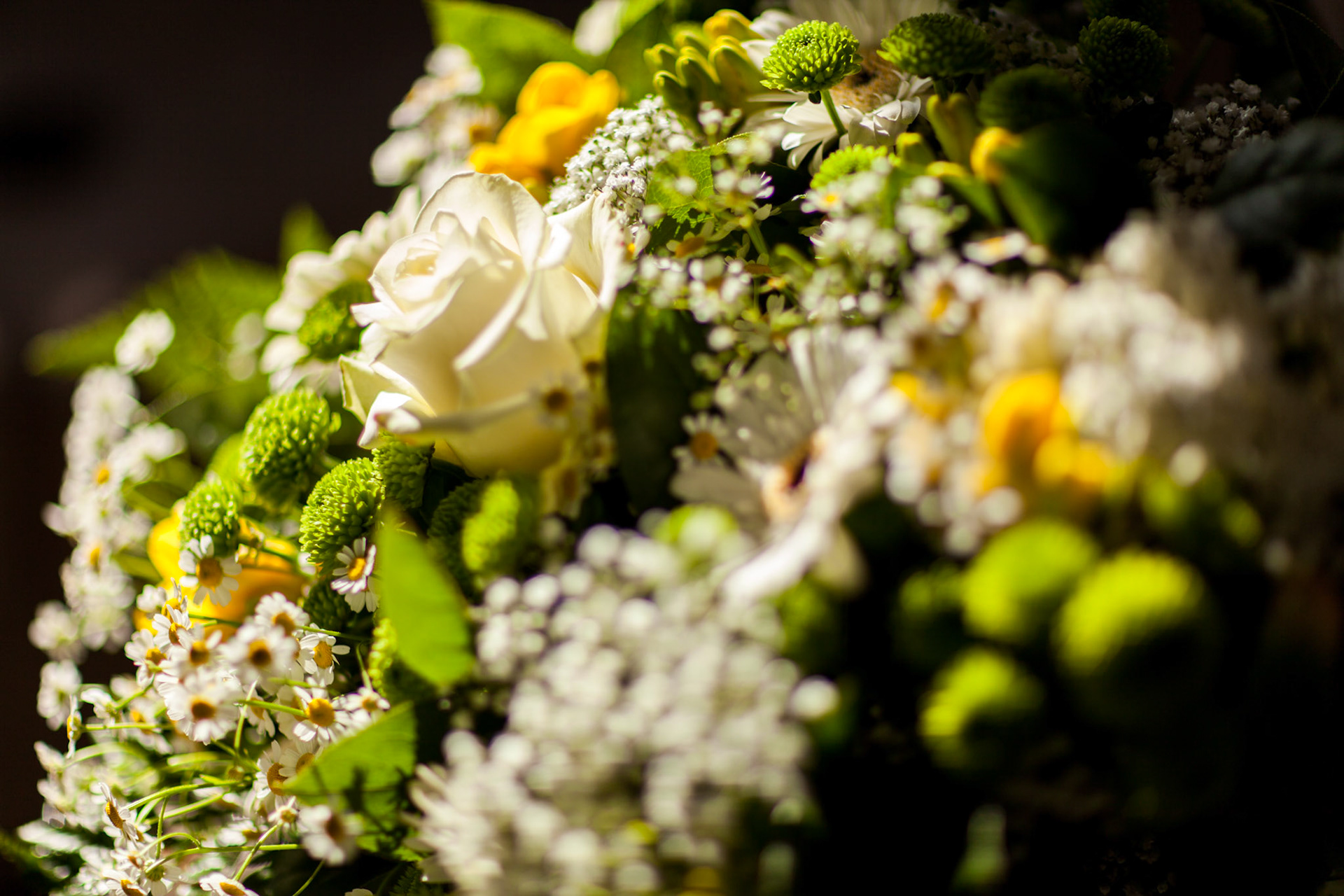 Composition florale