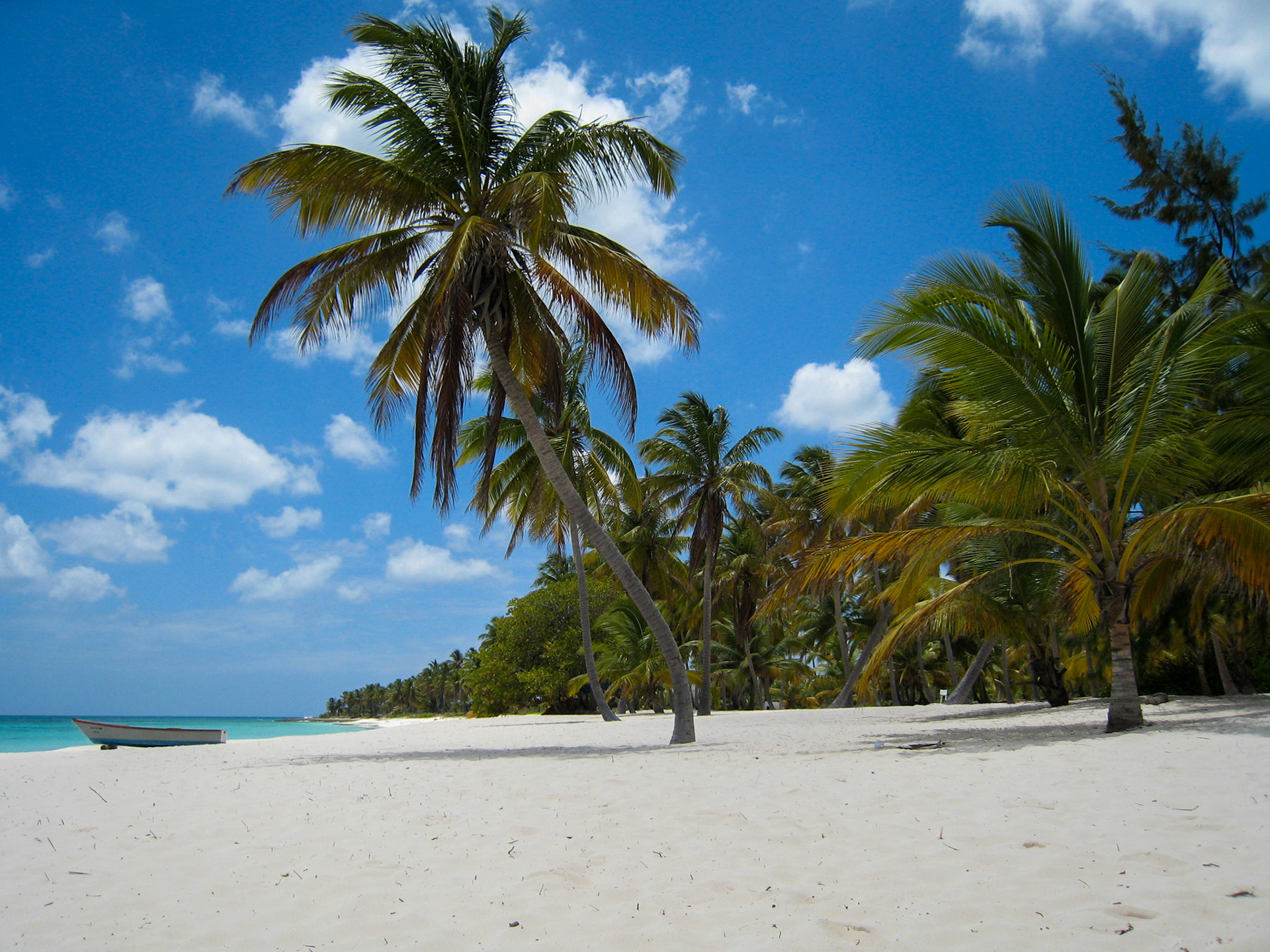 Cocotiers, plages de sables blanc et eau translucide pour l'île de Saona en République Dominicaine