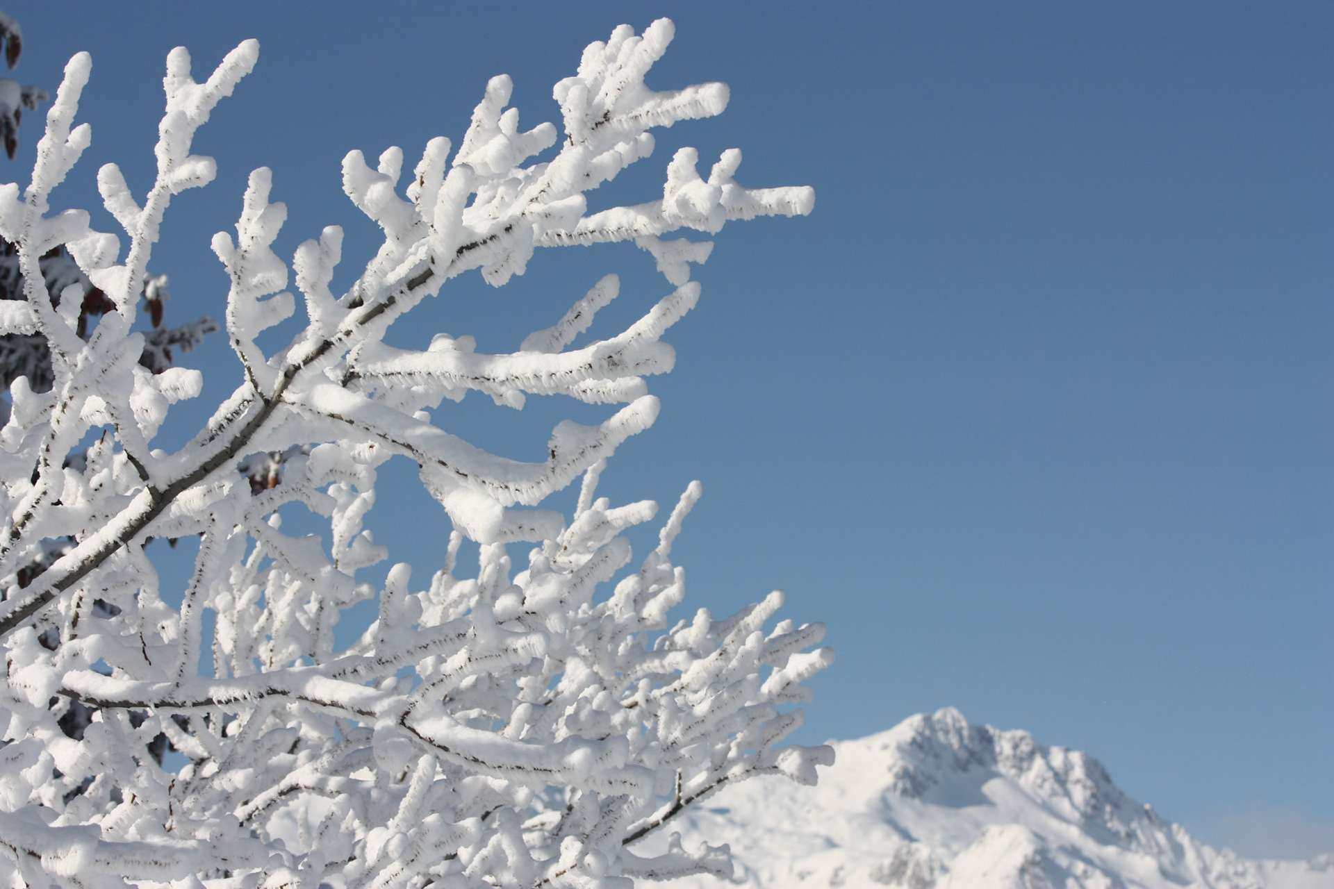 La montagne est son manteau blanc en Savoie