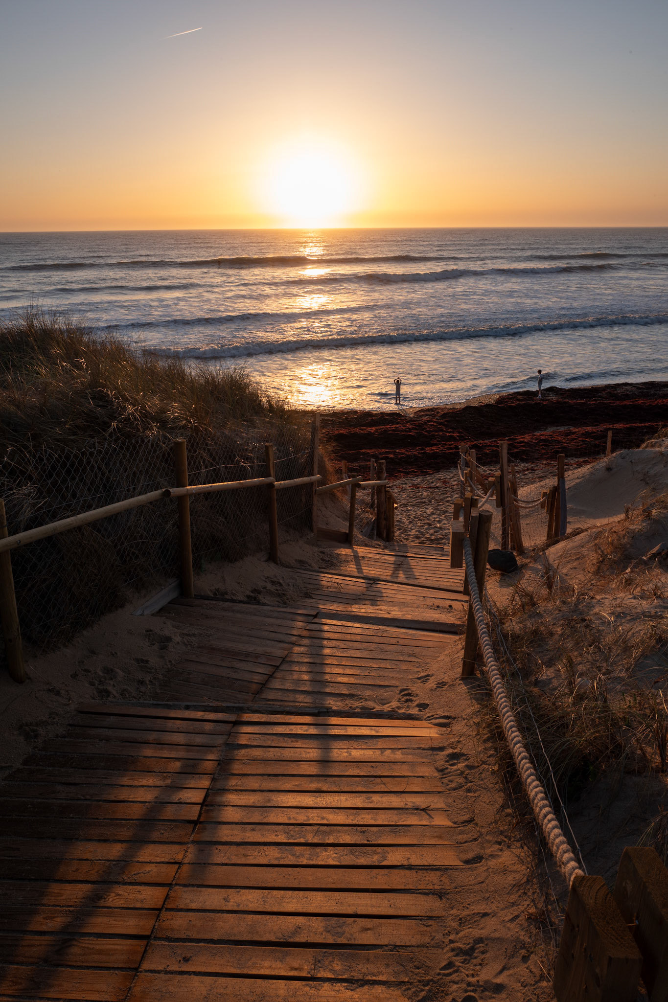 Chemin vers une plage Vendéenne