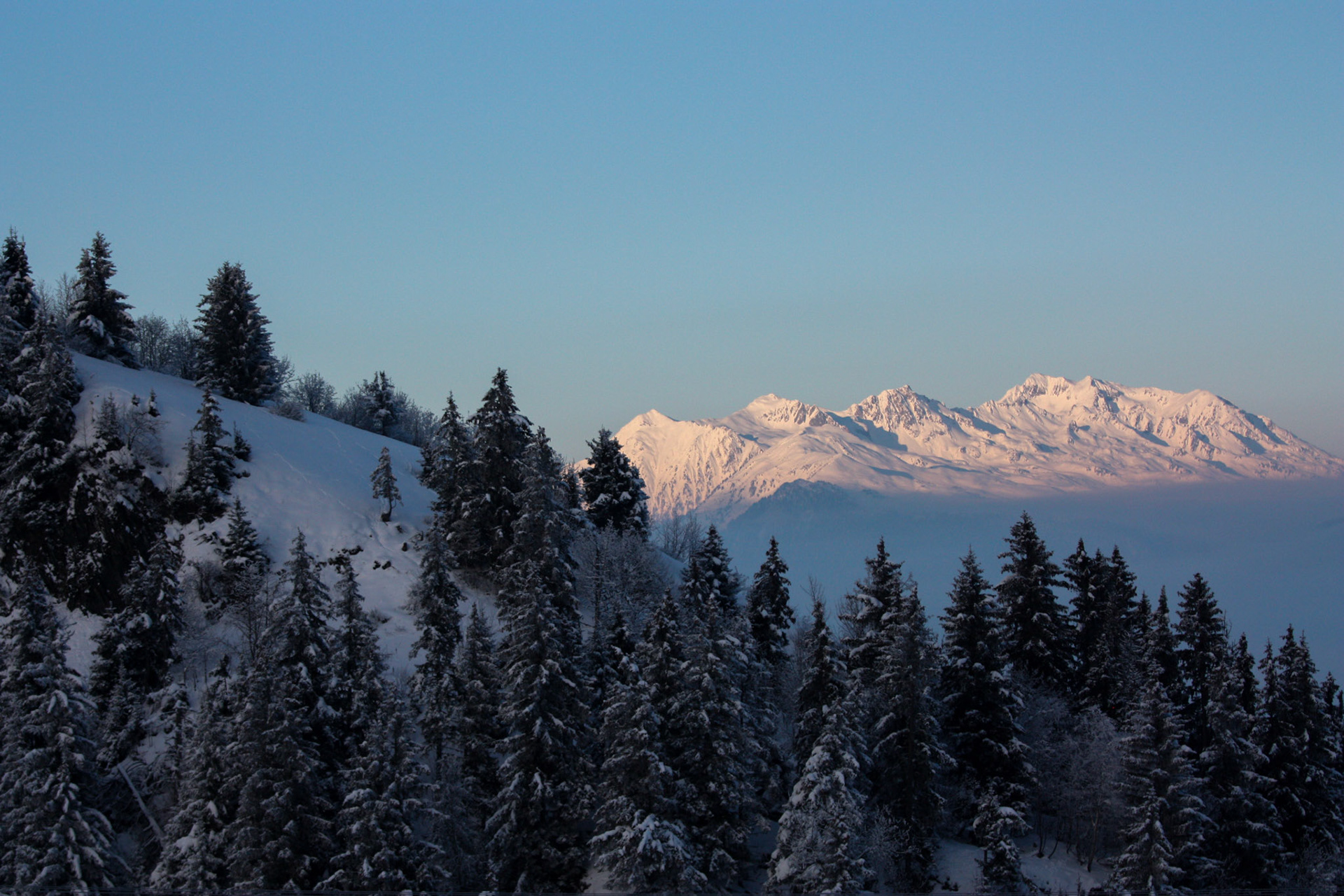 Face au Mont Blanc
