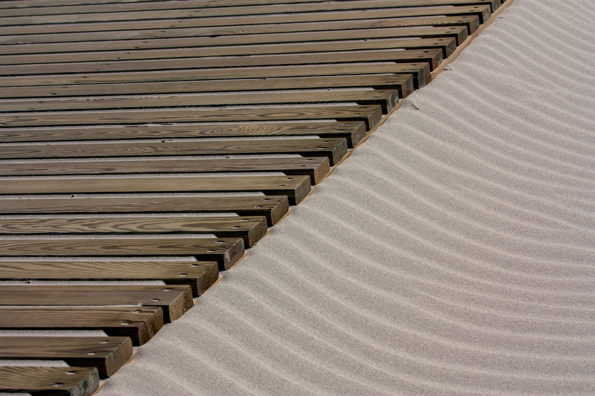 Bois et sable fin sur une plage du nord de la France