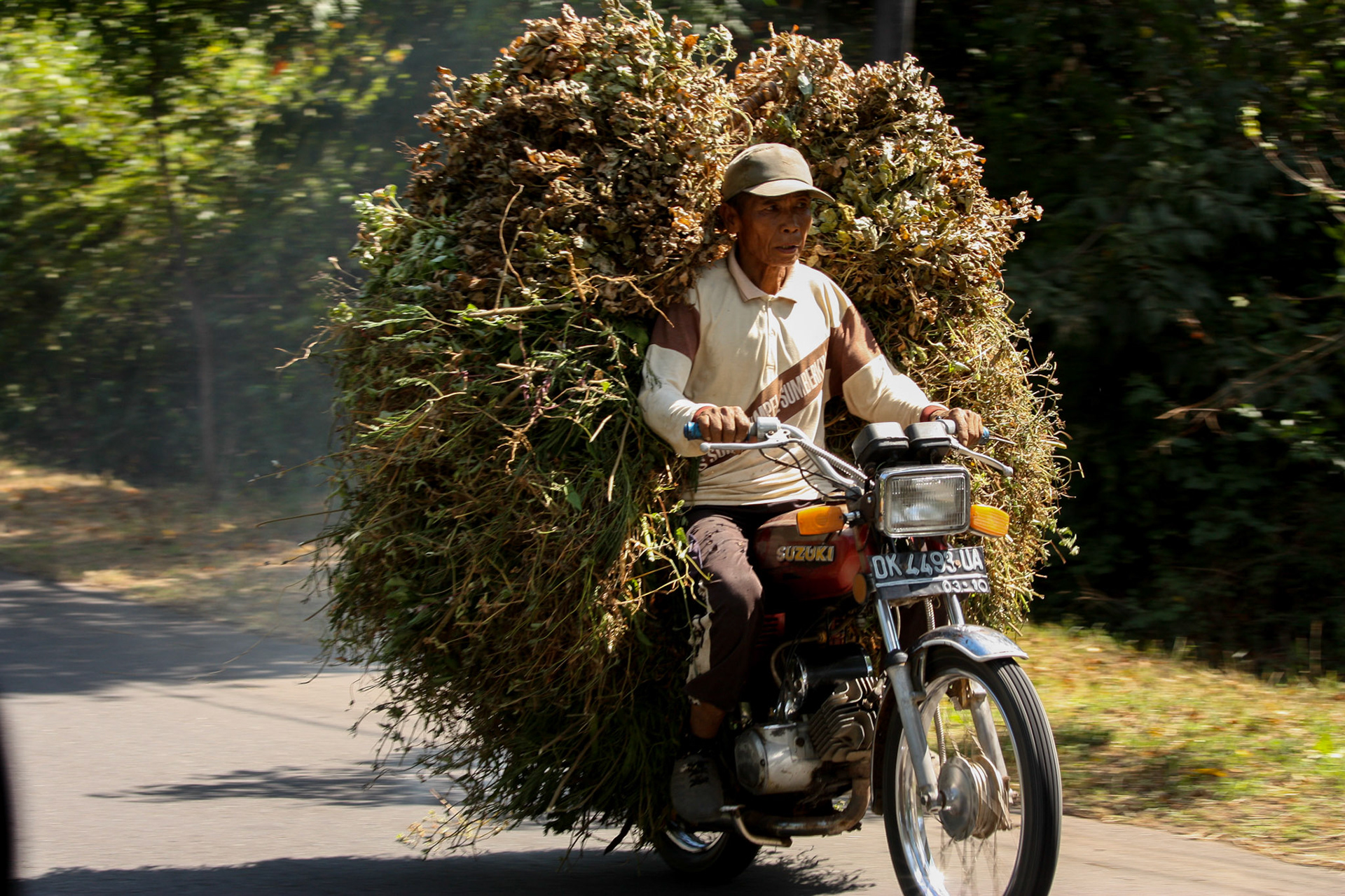 Un Balinais sur sa mobylette