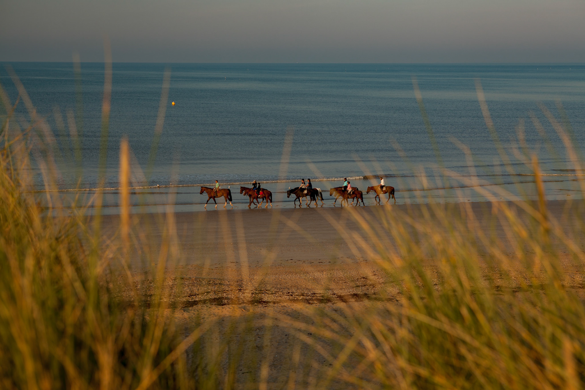 Balade matinale à cheval sur les grandes plages de Vendée