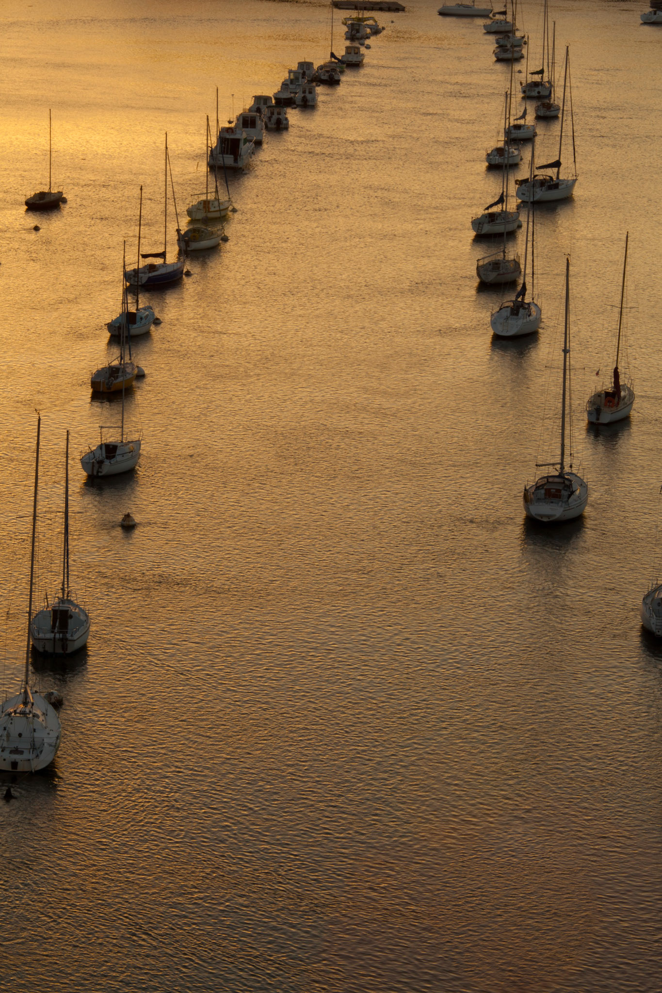 Lignées de bateaux à Bénodet