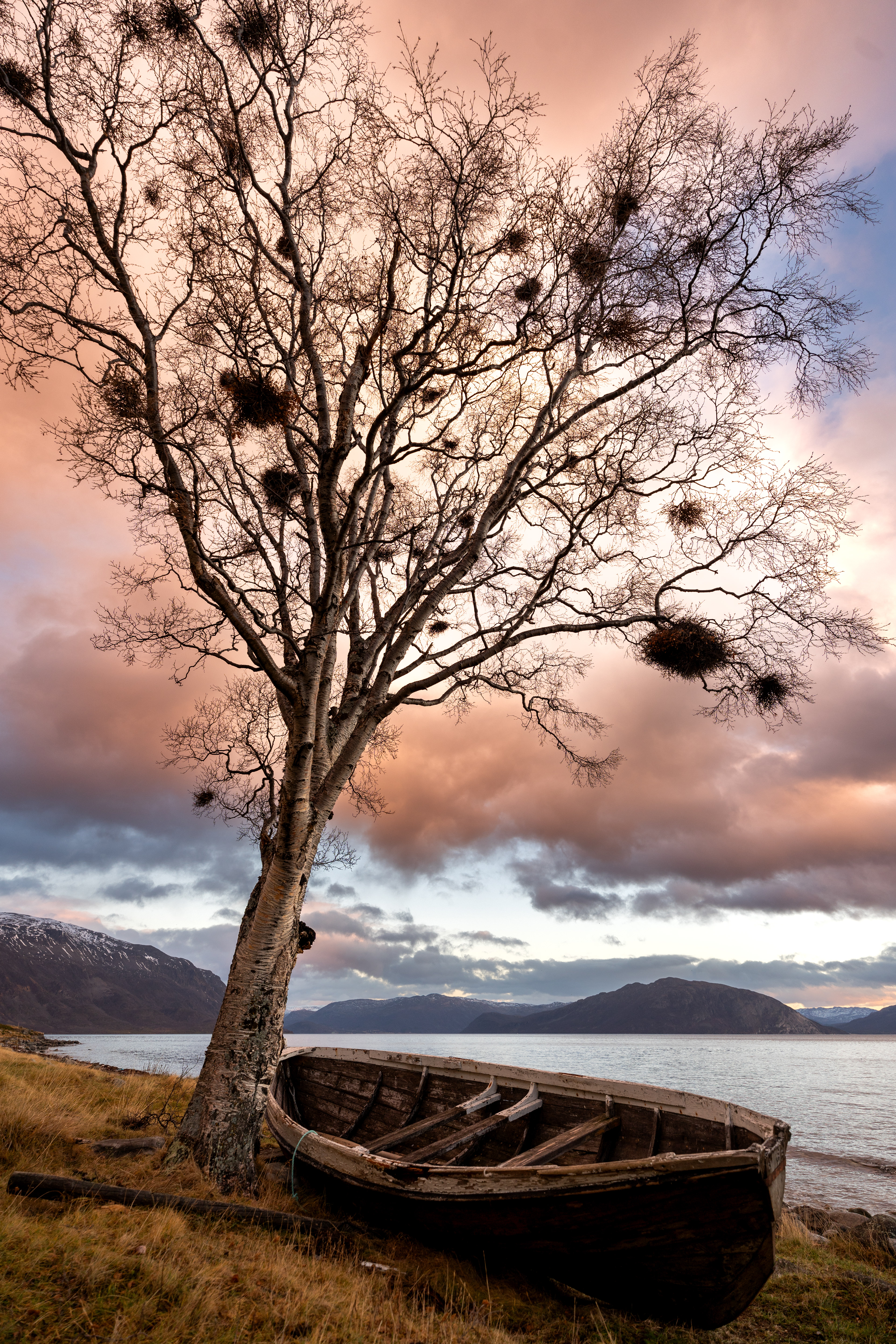 Honorable mention at the IPA 2025