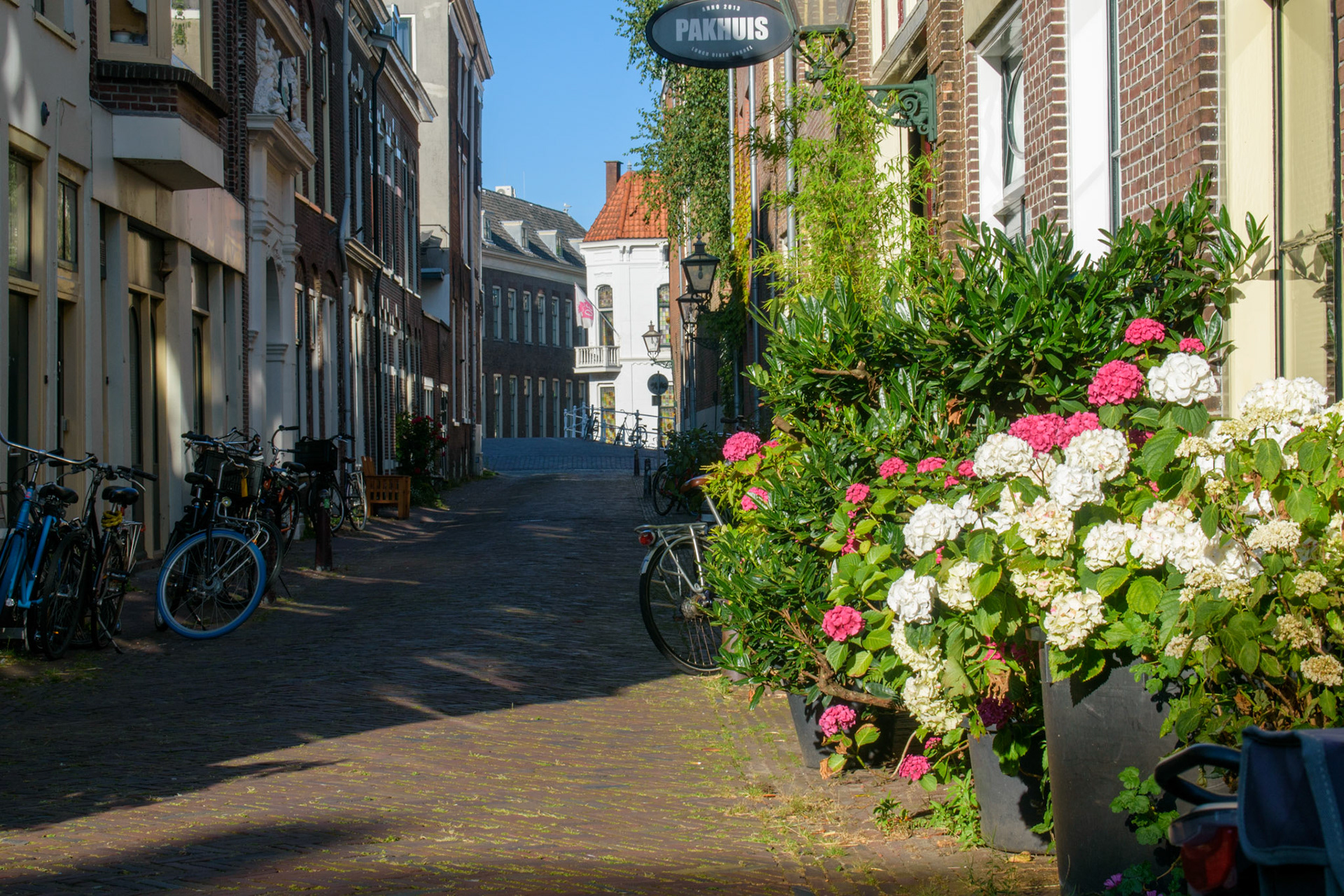 Flowers in the streets 2