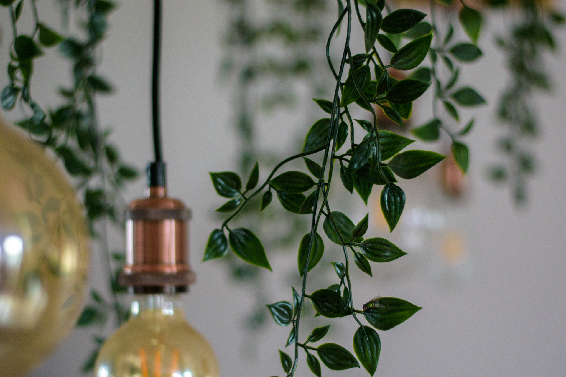 Surprise Party Kayleigh 2022