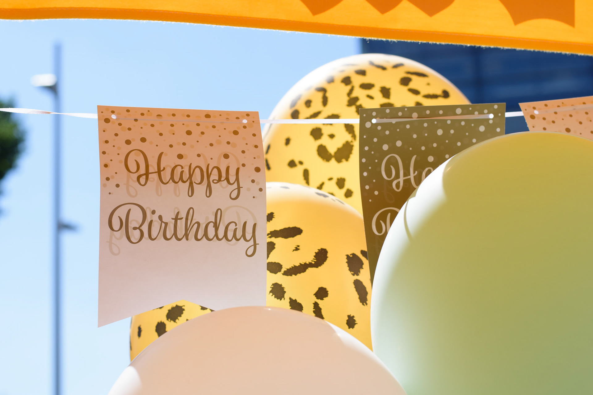 Zayn's First Birthday