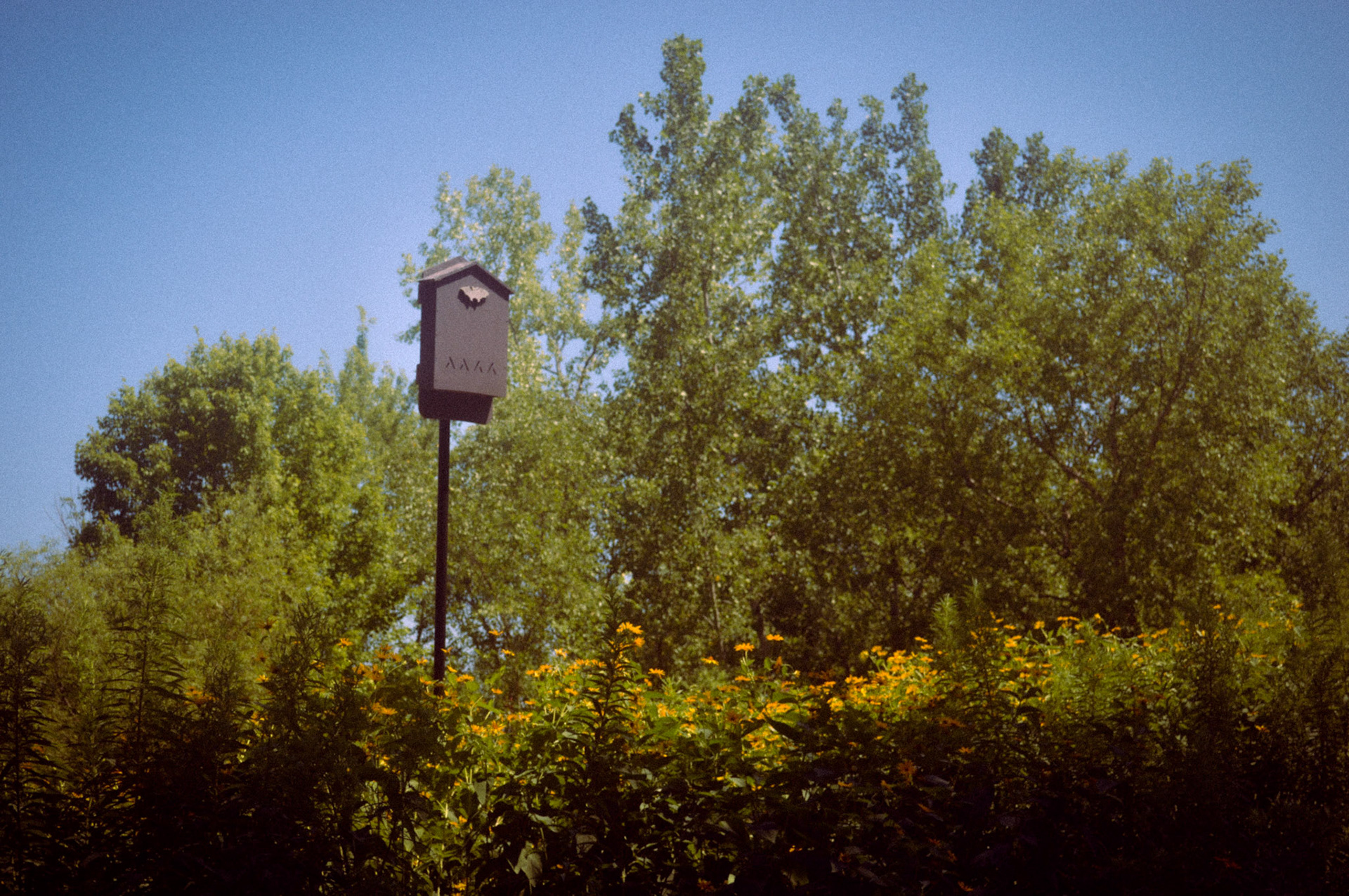 birdhouse
