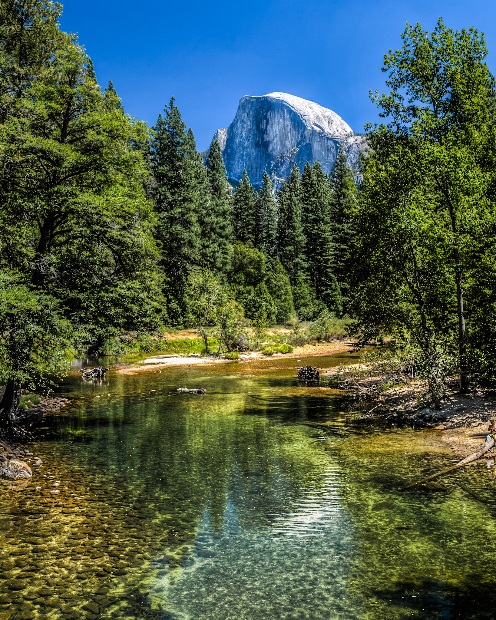 Took tons of pictures while vacationing with my family in San Francisco.  Posting some of the highlights.