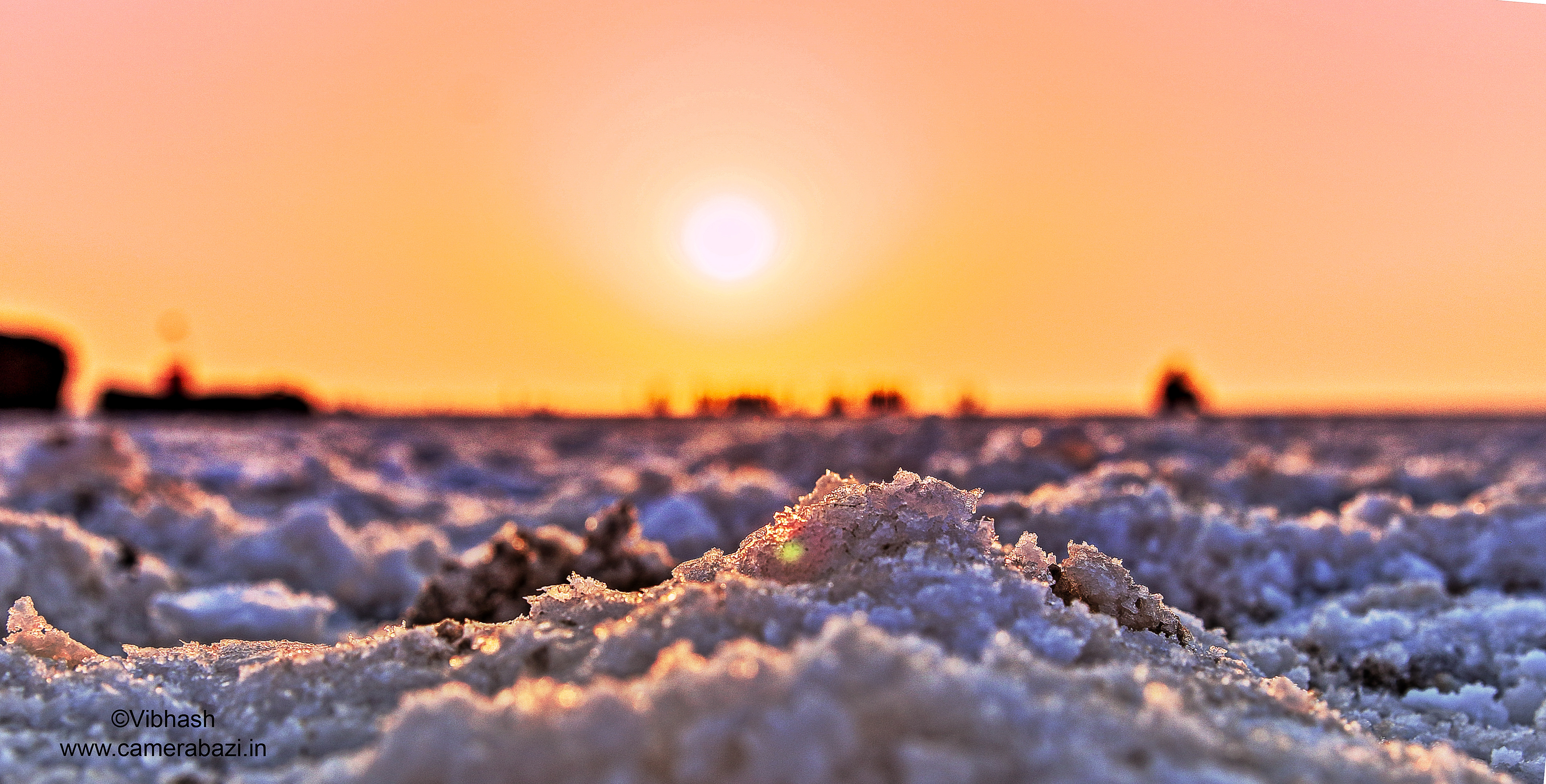 Rann of Kutch - the salt desert