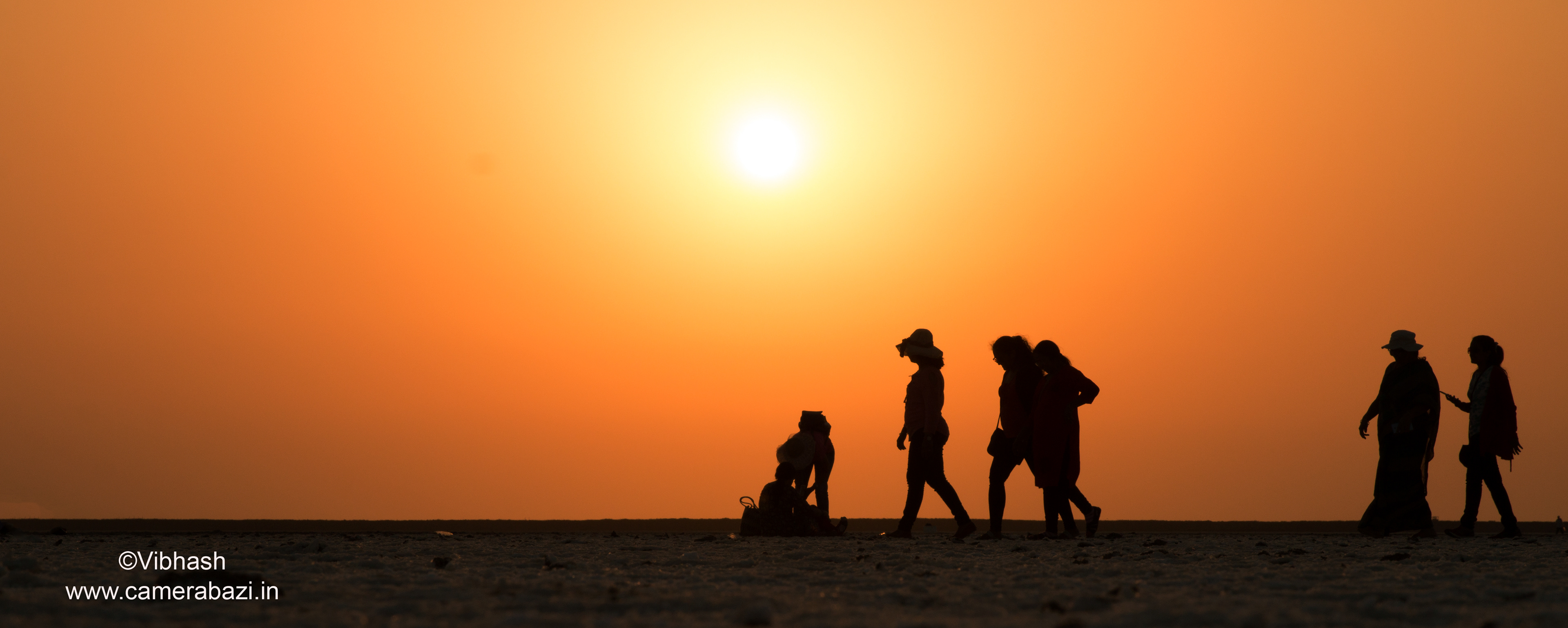 The walking Silhouettes...