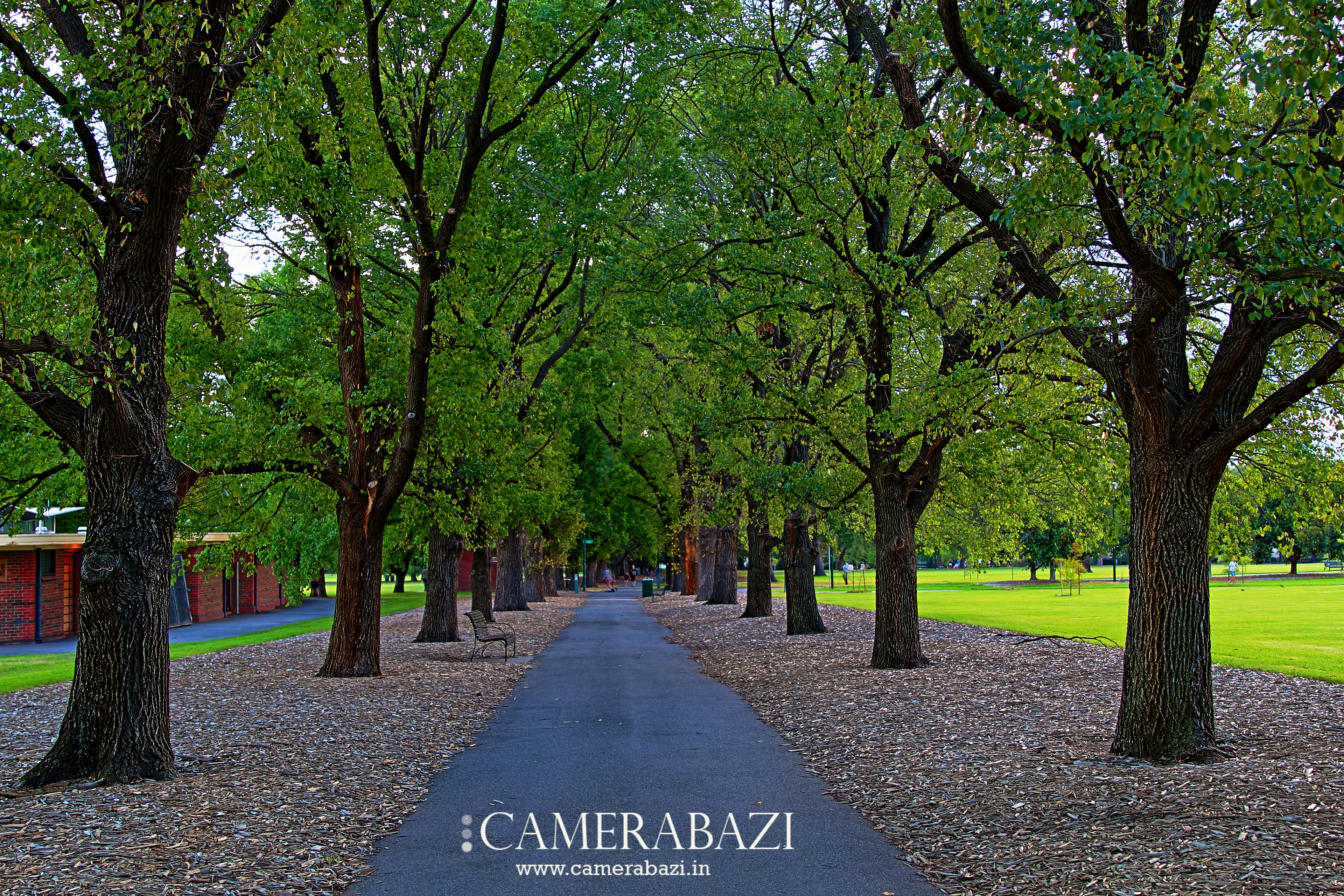 Faulkner Park, Melbourne