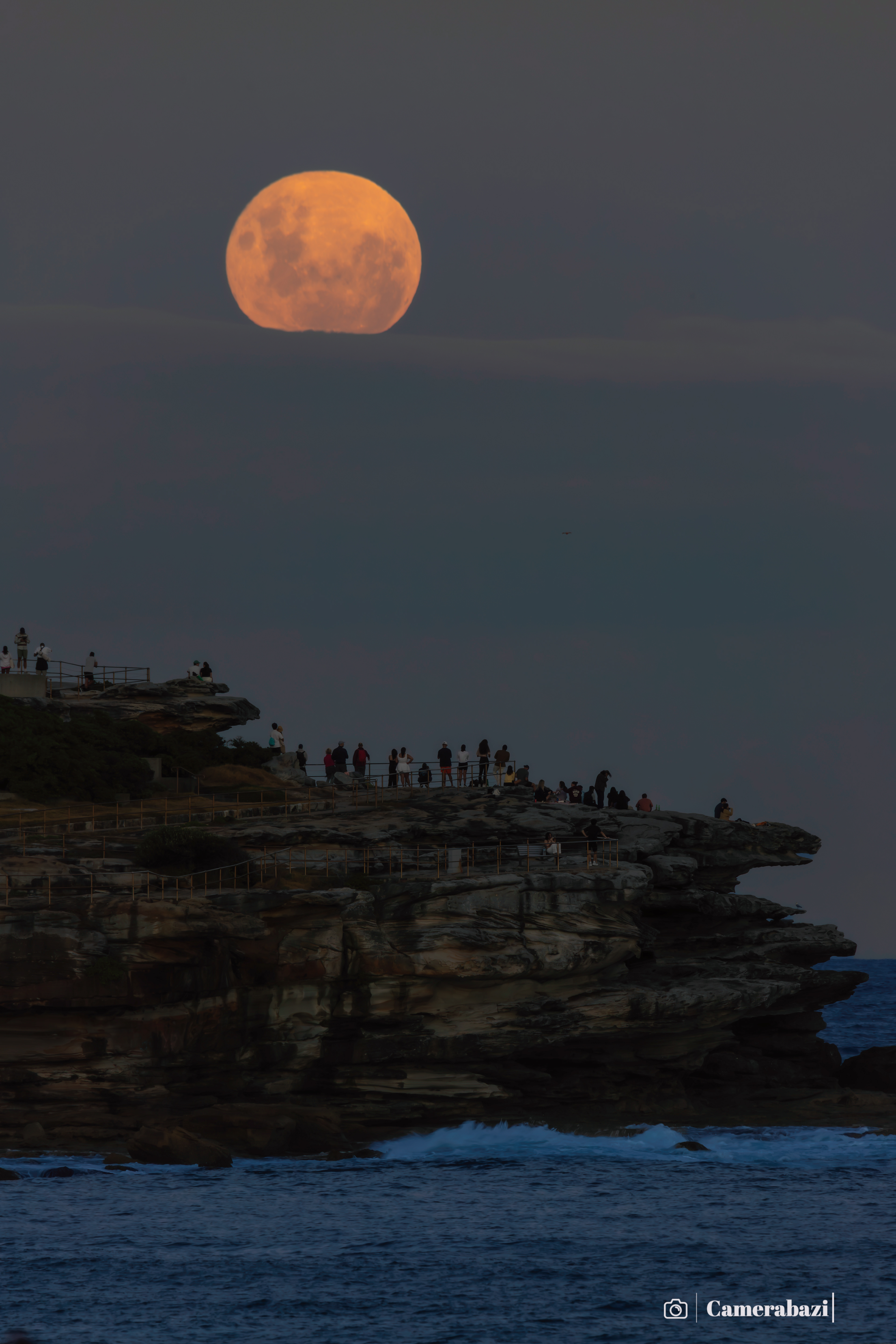 Bondi, NSW