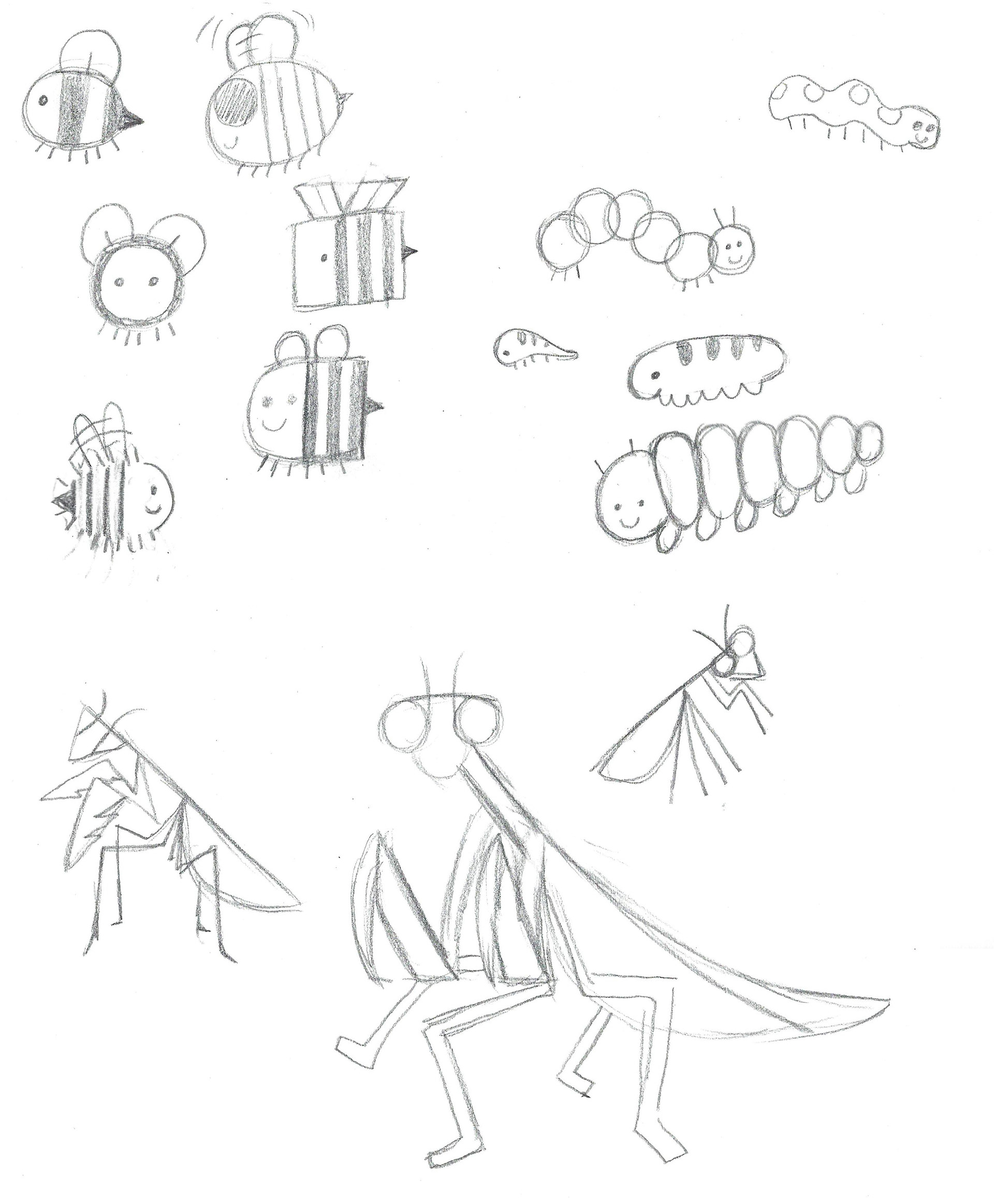 Flat bugs