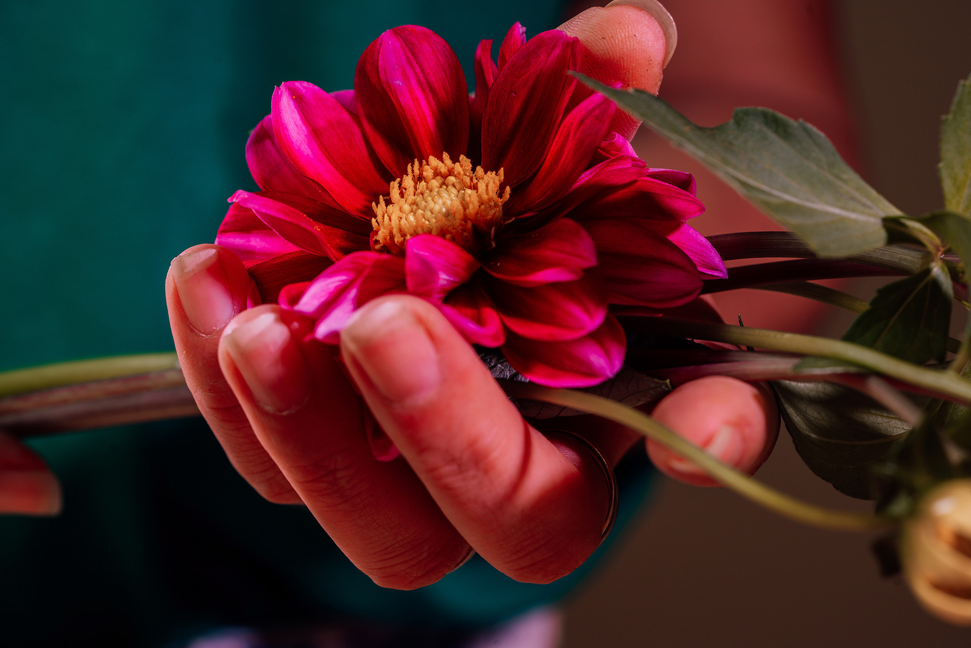 © Alba photographie