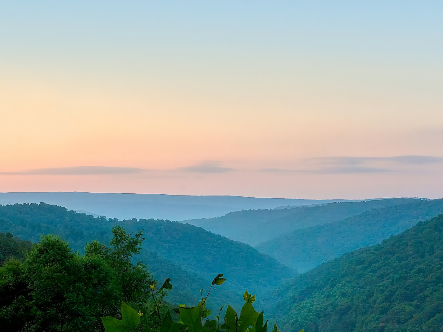 Beautiful mountain landscape with trees at sunrise.