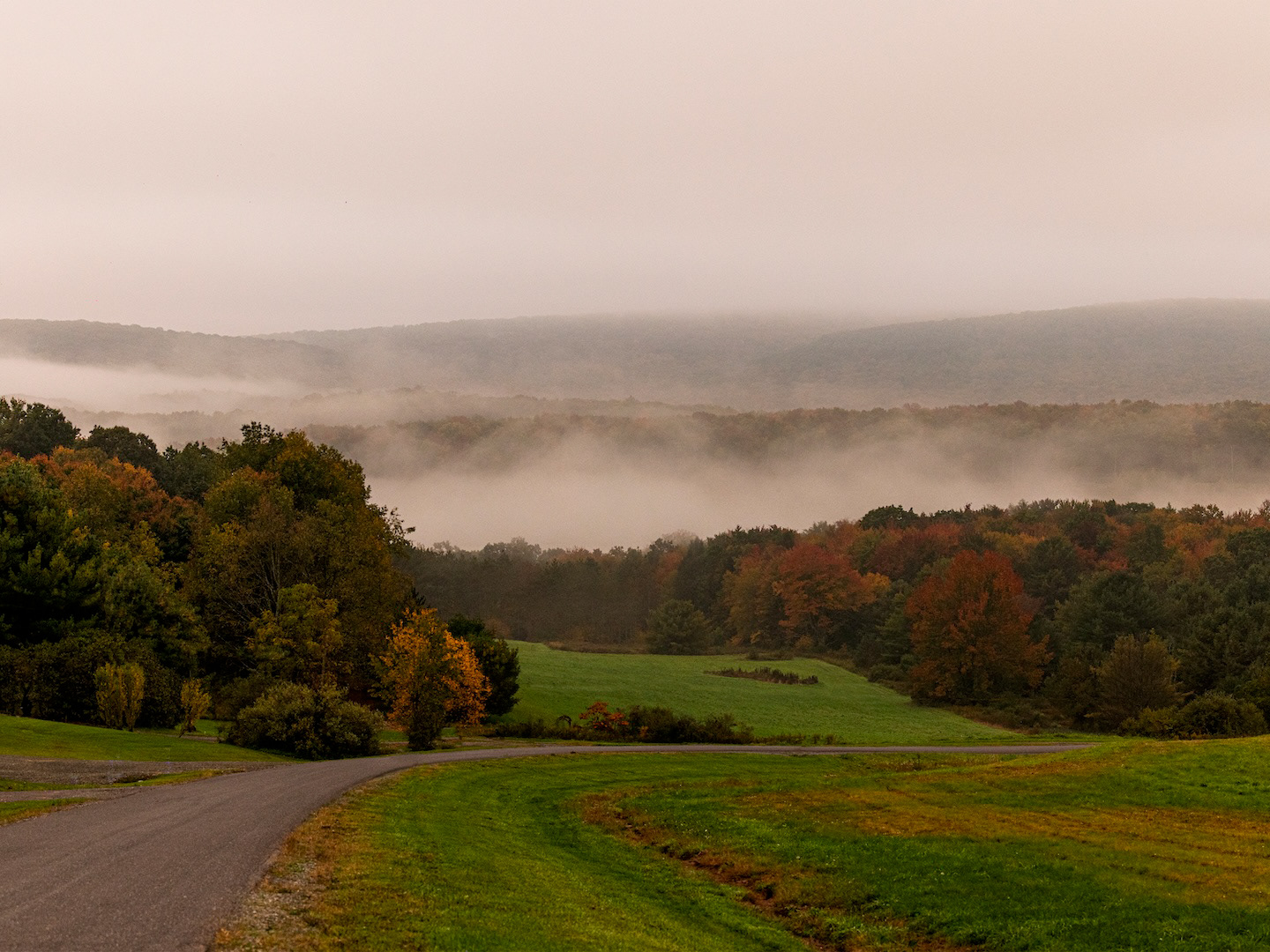 Winding road through vibrant autumn colors such as orange, red, and green in Blossburg, PA.